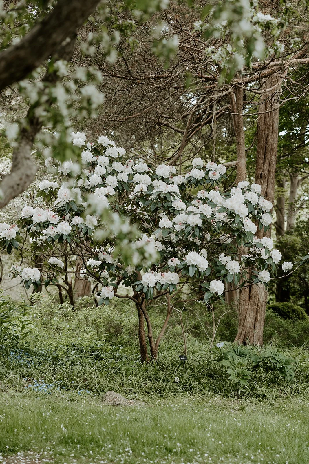 Views from a garden wedding venue showing why spring is the best time to get married