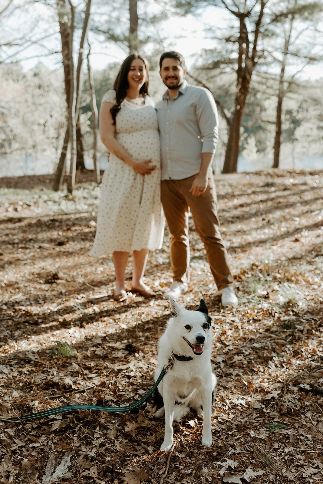 A couple taking maternity photos with their dog