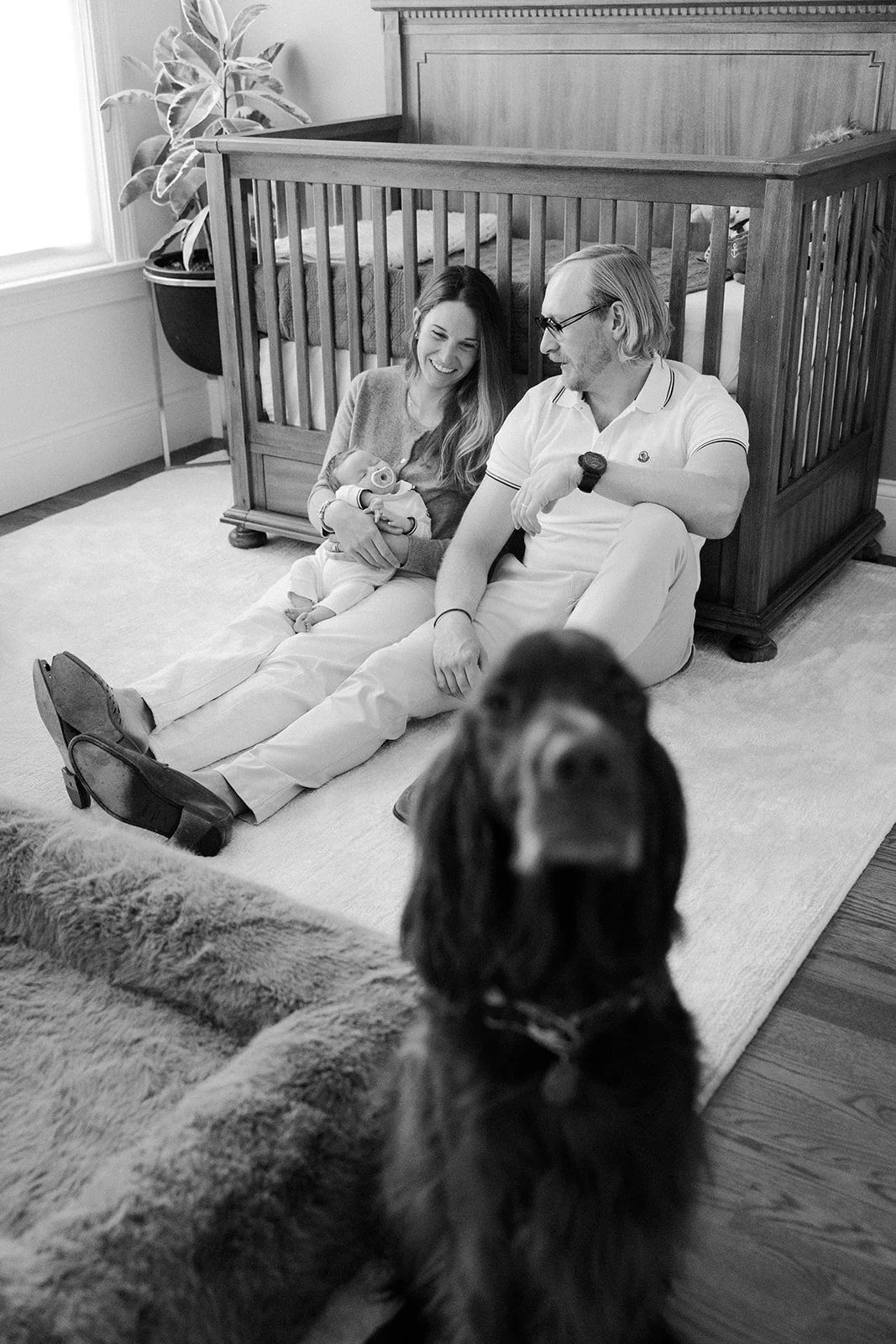 A dog in newborn photos with a Boston newborn photographer