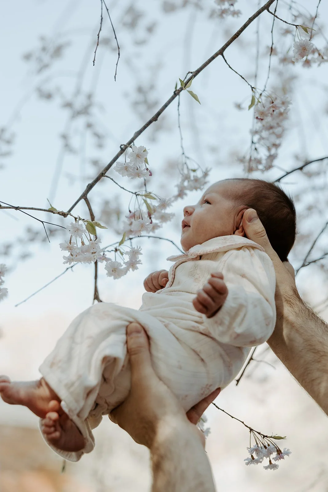 A newborn baby outside during a photoshoot