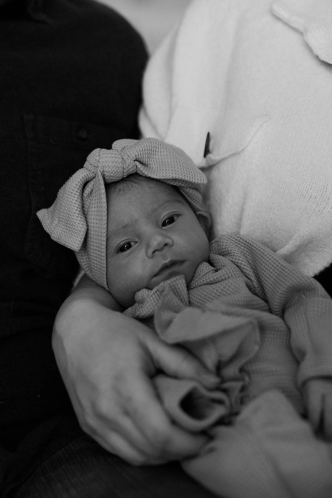 A baby during newborn photos