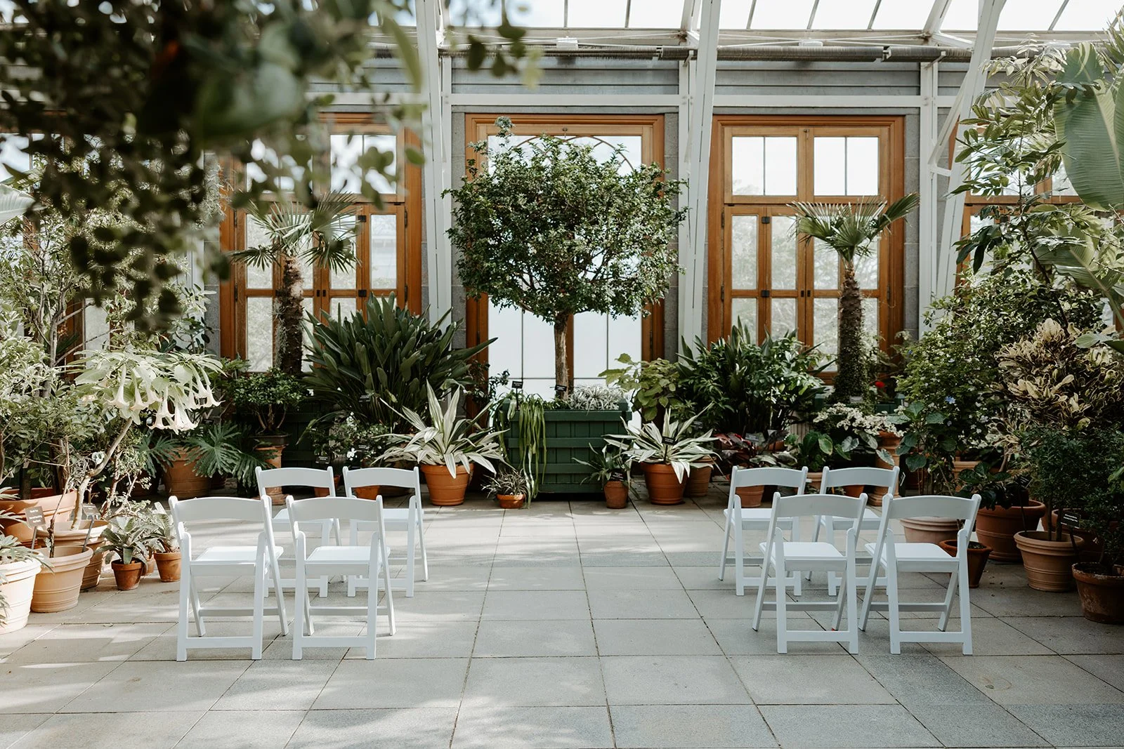 An elopement ceremony in a botanic garden