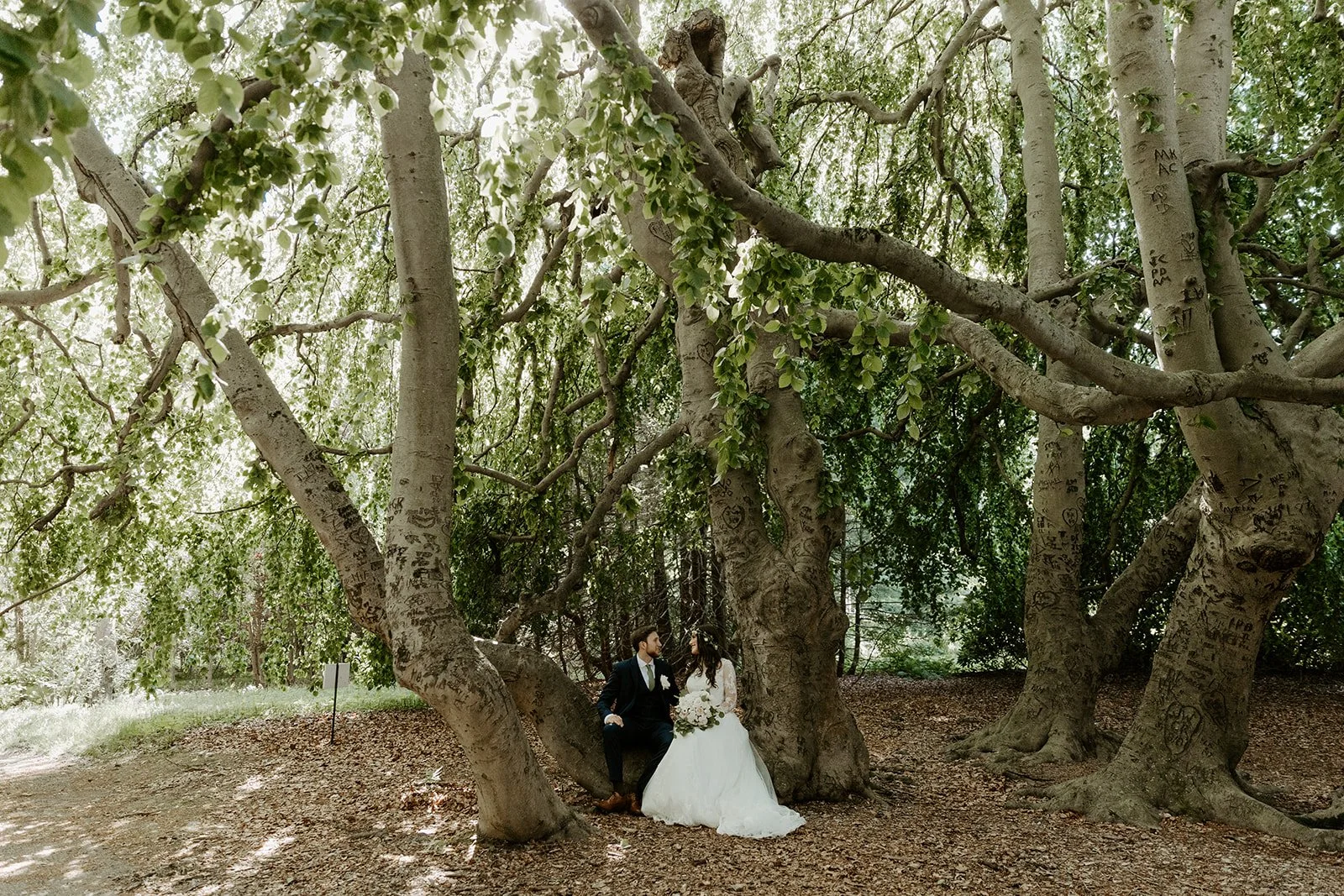 A couple taking wedding photos in the woods