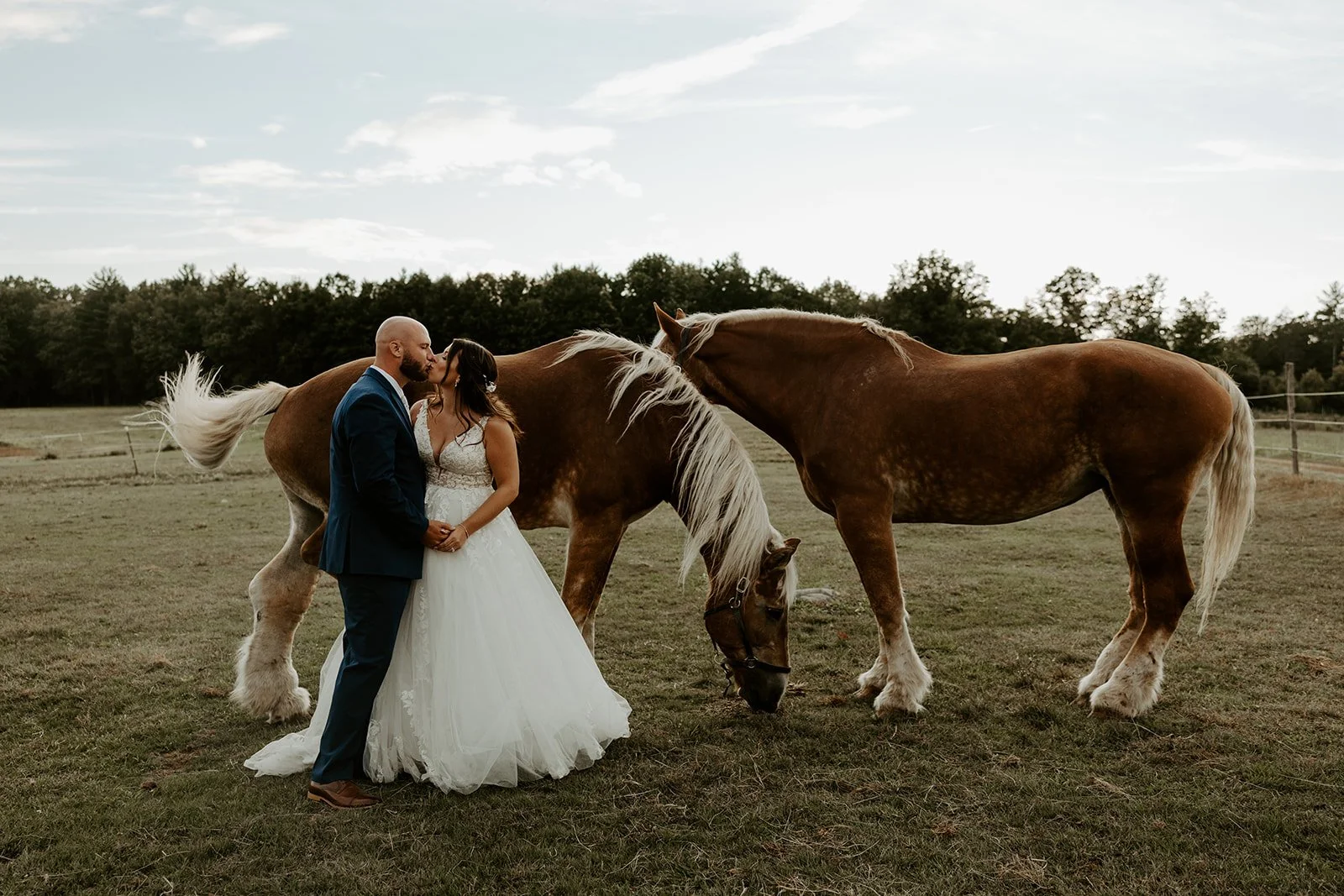 A bride and groom posing for wedding photos beside horses