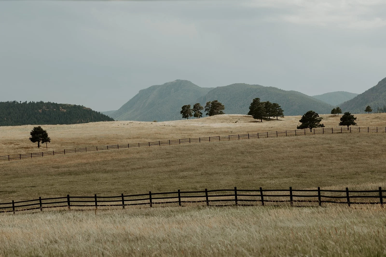 A mountain view from a destination wedding location in colorado