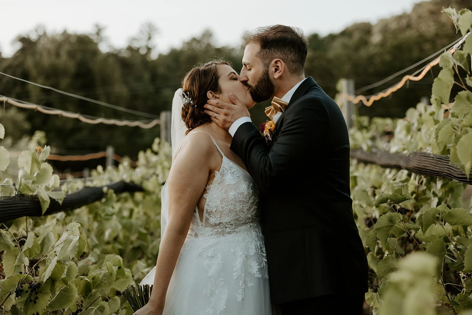 A couple kissing in the vineyards at their new hampshire wedding venue