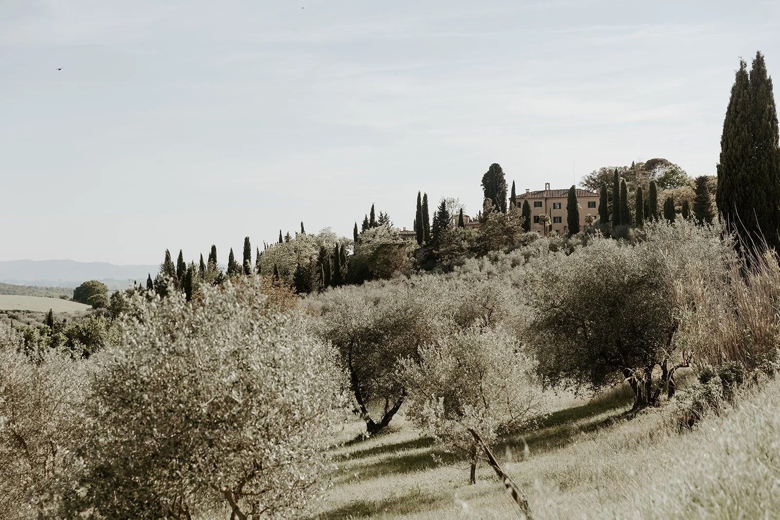 An italian countryside as a destination wedding location