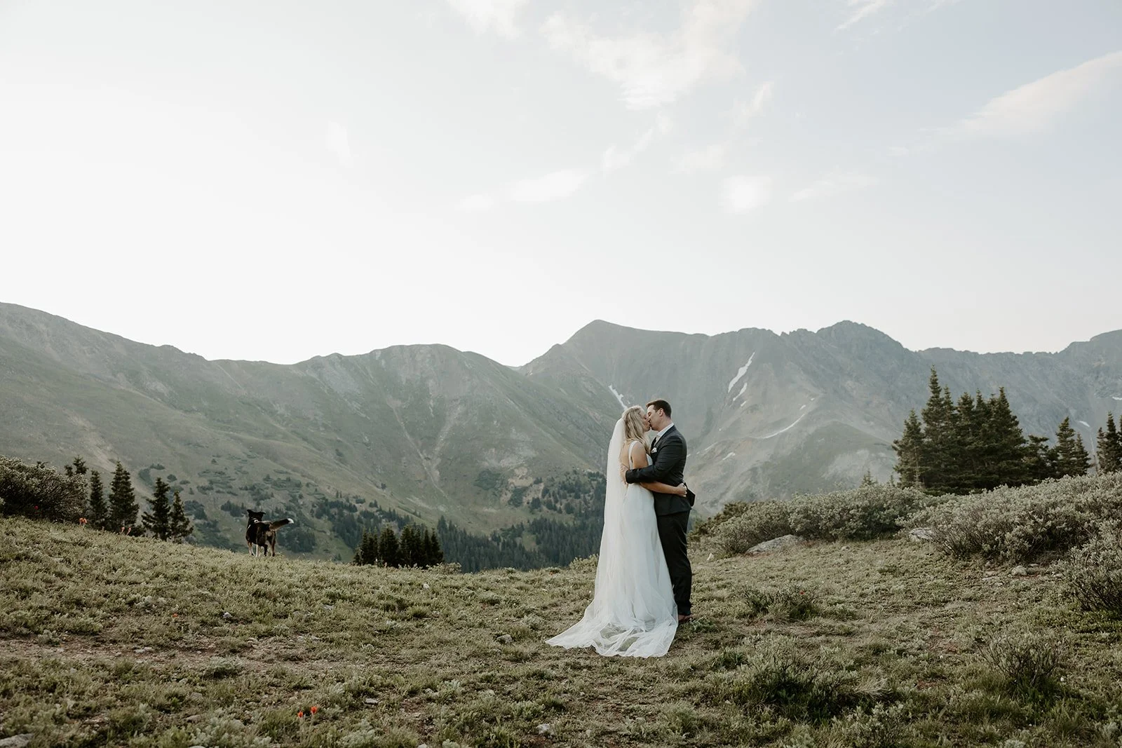 A bride and groom's wedding photos from a mountain elopement