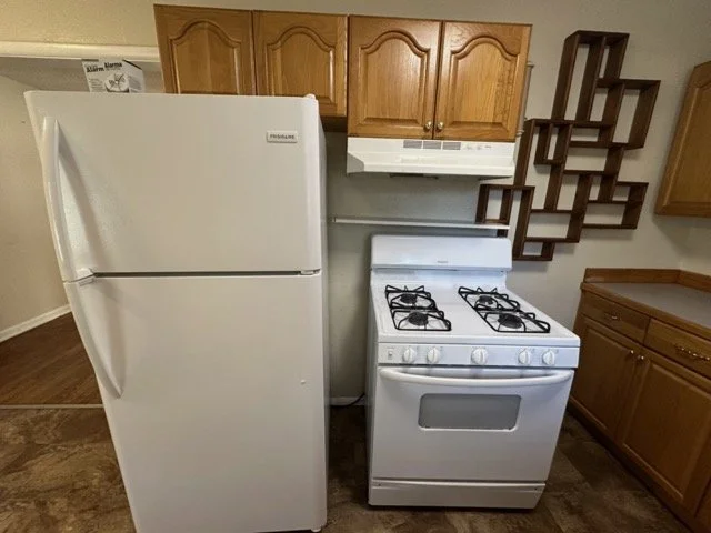 IMG_4606 Medium.jpeg