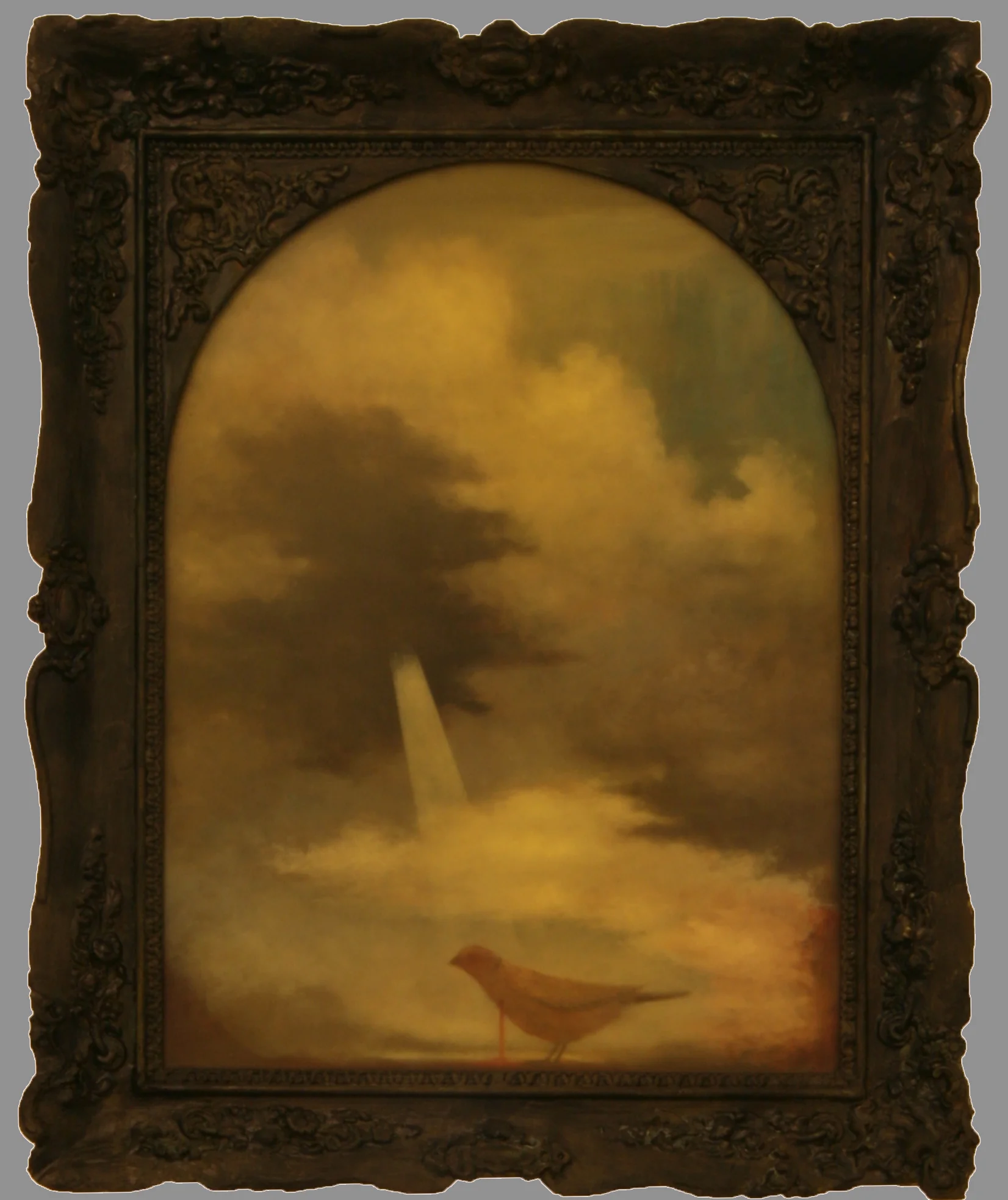 salvo misure da verificare.jpg