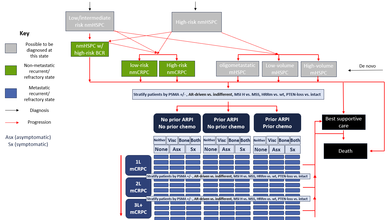 Flowchart diagram illustrating prostate cancer treatment options and progression stages. It includes categories like risk levels, metastatic states, diagnosis, and treatment paths, with arrows indicating progression and outcomes such as death and supportive care.
