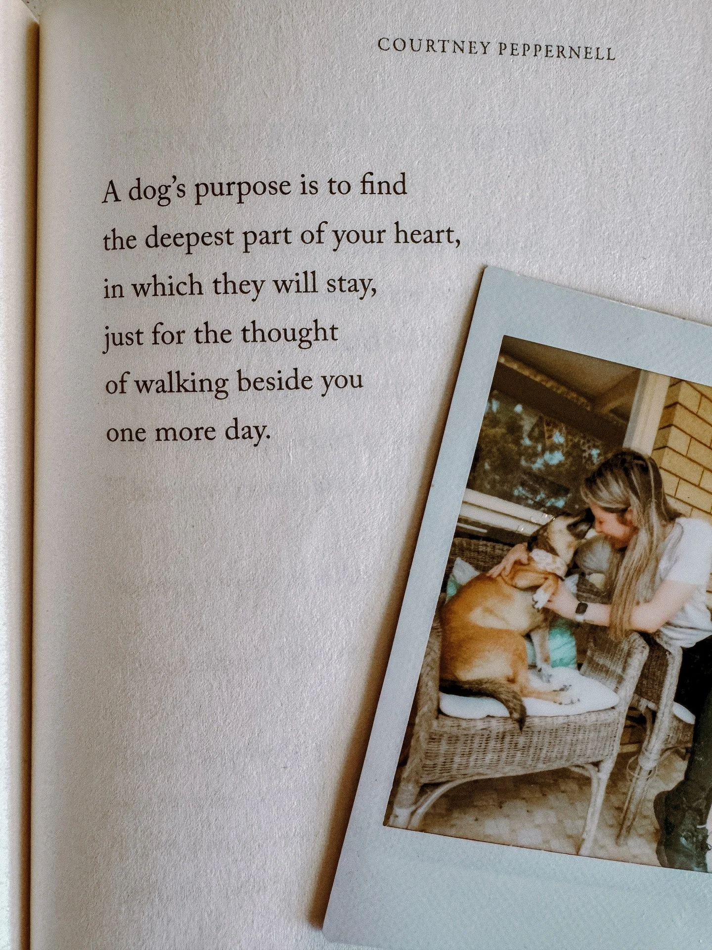 Walking beside us today, tomorrow and forever 💛 a little reminder to give your pups a snuggle! 
&hellip;
from my favorite book in the world All Dogs Are Good! 
#poems #poetry #dogs #dogsarethebest #dogsofinstagram #bookstagram