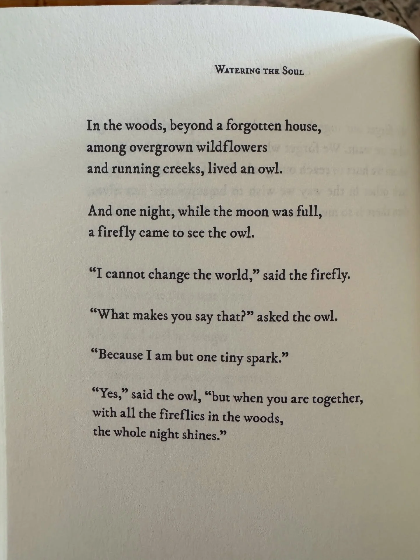 When you are together, with all the fireflies in the woods, the whole night shines 💛