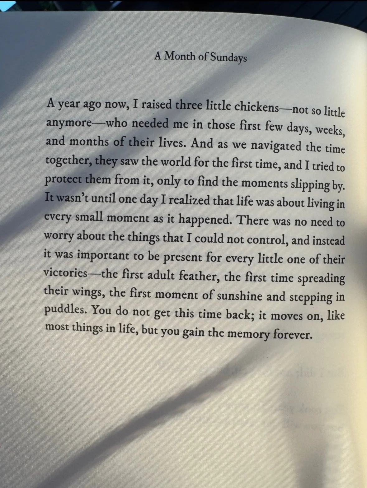 I&rsquo;m always finding little ways to weave my life into my poetry books 💛 That&rsquo;s what I love most about poetry, there are no rules, only feelings.

I love our chickens, they remind me so much about the importance of finding joy in the littl