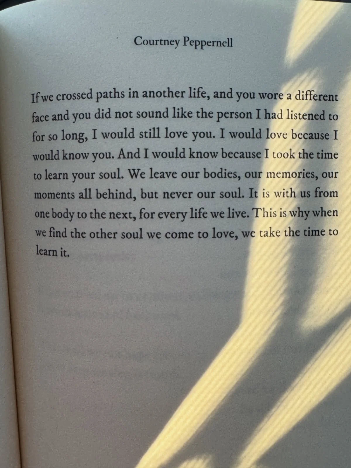 Some connections are timeless, who would you recognise beyond time and space? Share this with someone who feels like forever 💛

📖: A Month of Sundays

#poetry #poems #lovepoems #bookstagram #poetrycommunity