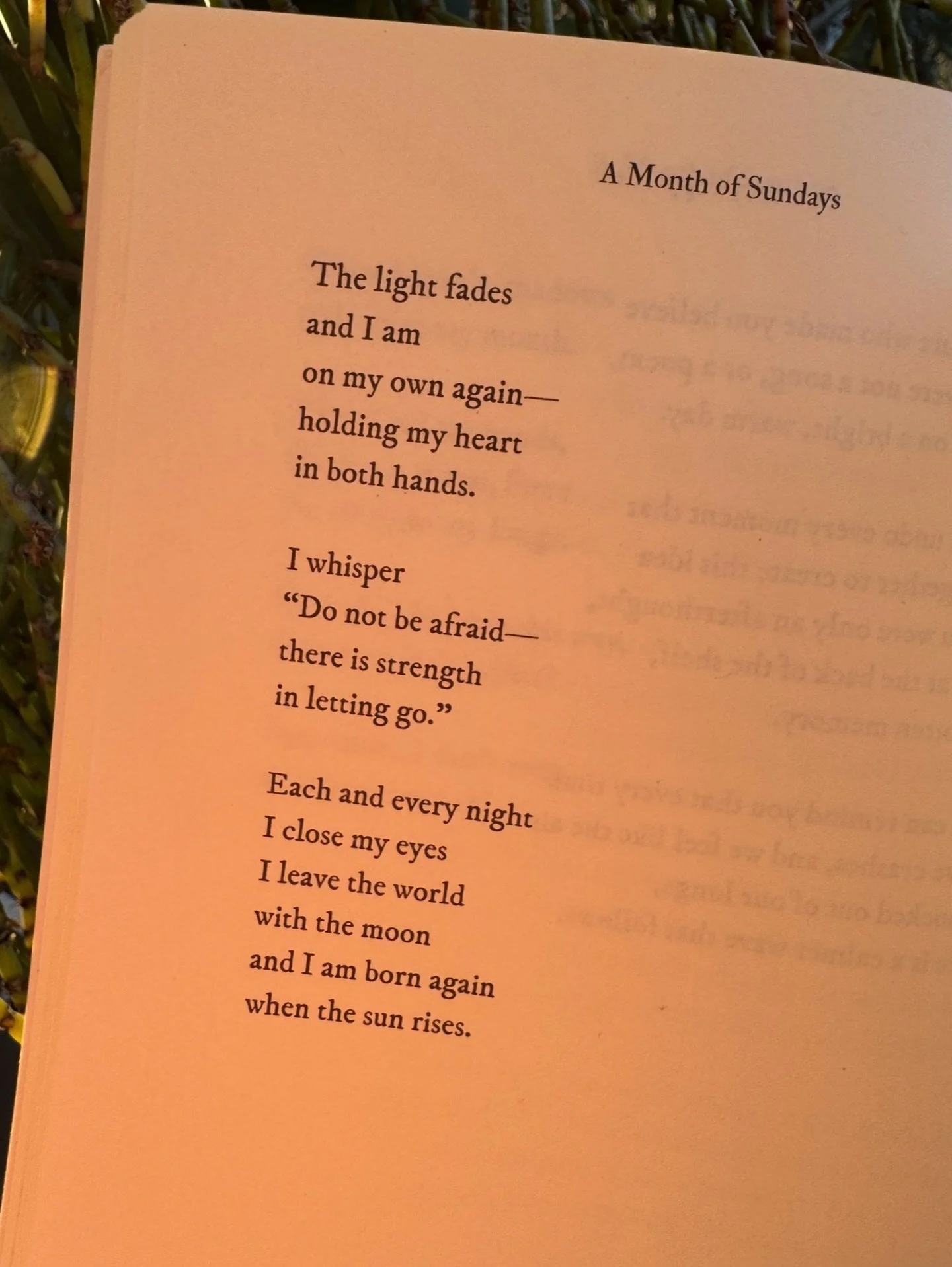 Do not be afraid, there is strength in letting go 💛 
a poem from A Month of Sundays 

#poetry #poetrycommunity #poet #selflovequotes #bookstagram