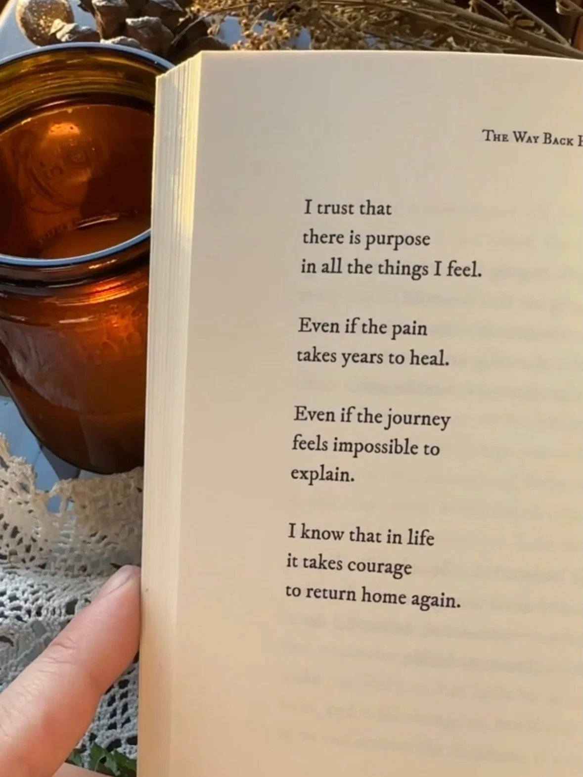 from The Way Back Home 💛🐚

#poems #poetry #quoteoftheday #poetryforthesoul #poetrycollection