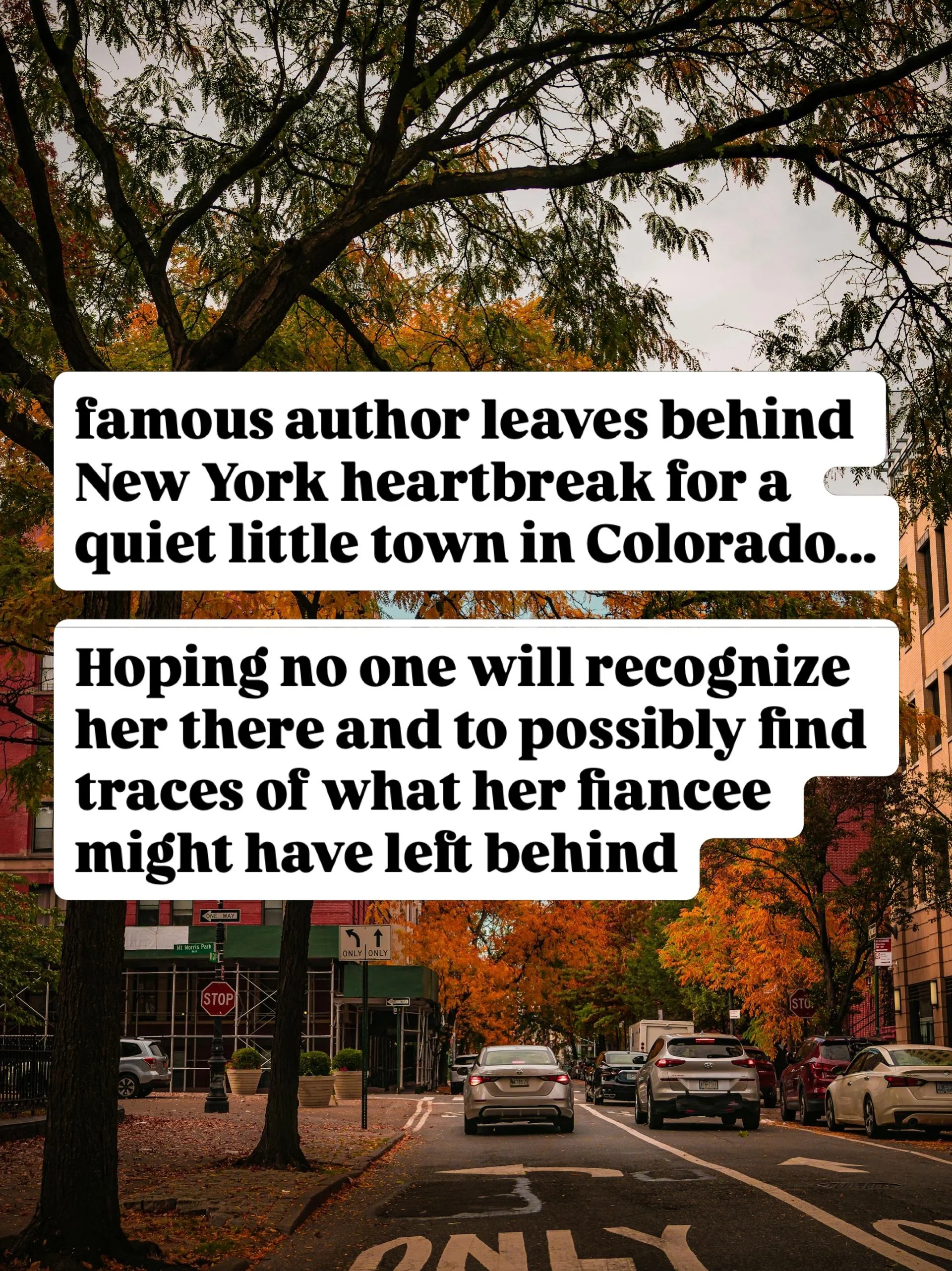 If you&rsquo;re wanting a read that has:

🍁 cozy small-town vibes 
🍁found family 
🍁 grief &amp; healing 
🍁 slow burn romance 
🍁lgbtqia+ representation 

You will love this book 💛

#slowburn #smalltownromance #foundfamily #hopecore #lgbtreads 

