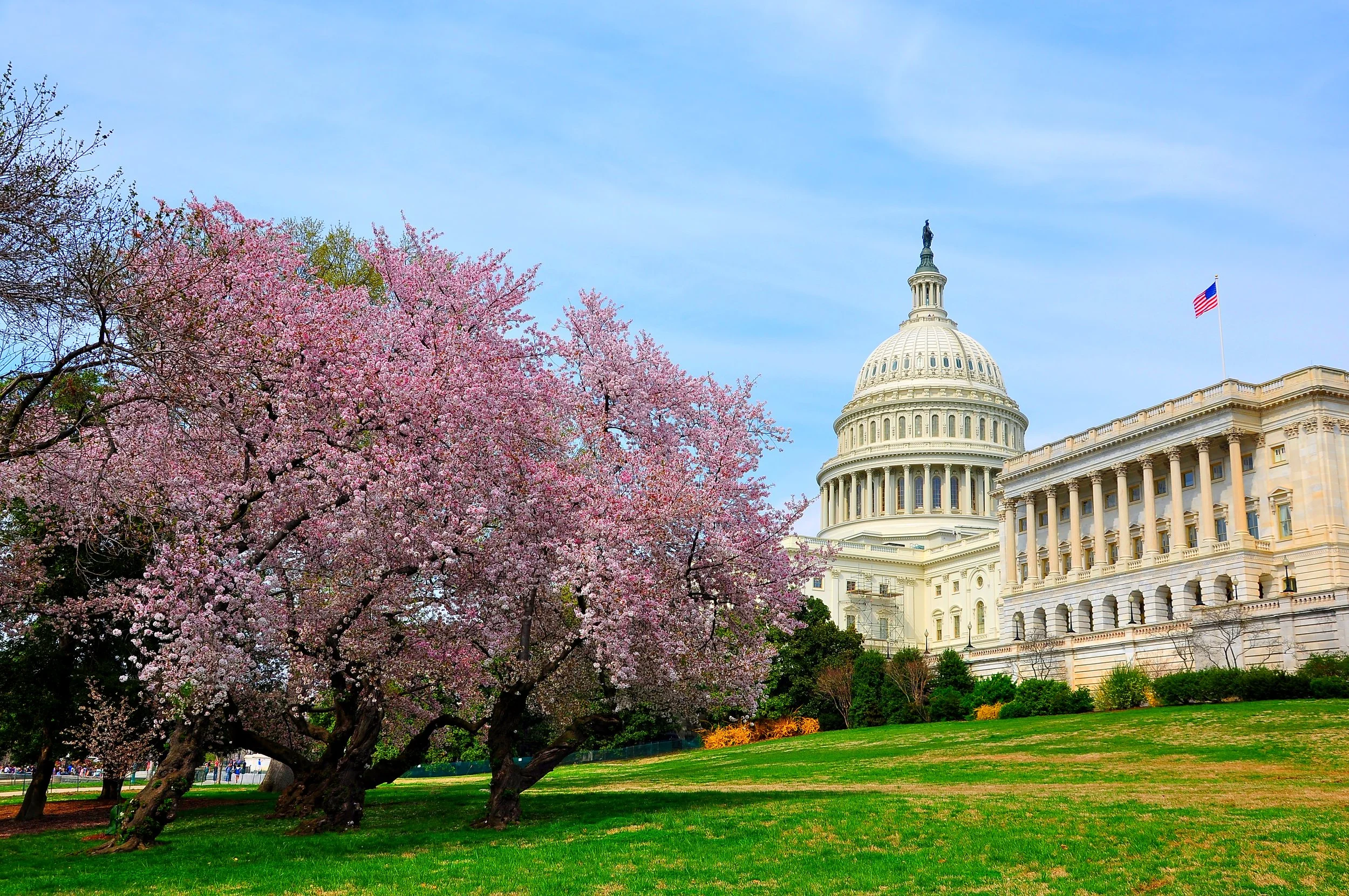 The 118th Congress Returns from Spring Break