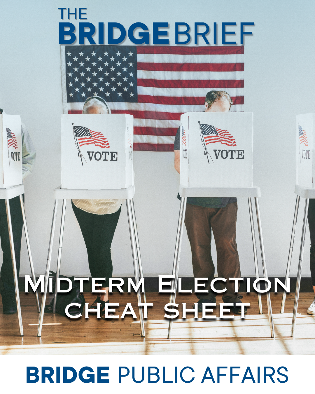 THE BRIDGE BRIEF: Midterm Elections Cheat Sheet