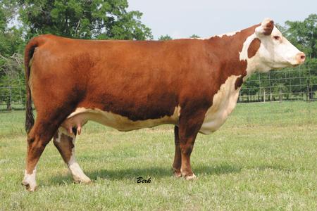 Bar-RZ 980 Babe Ruth 48b