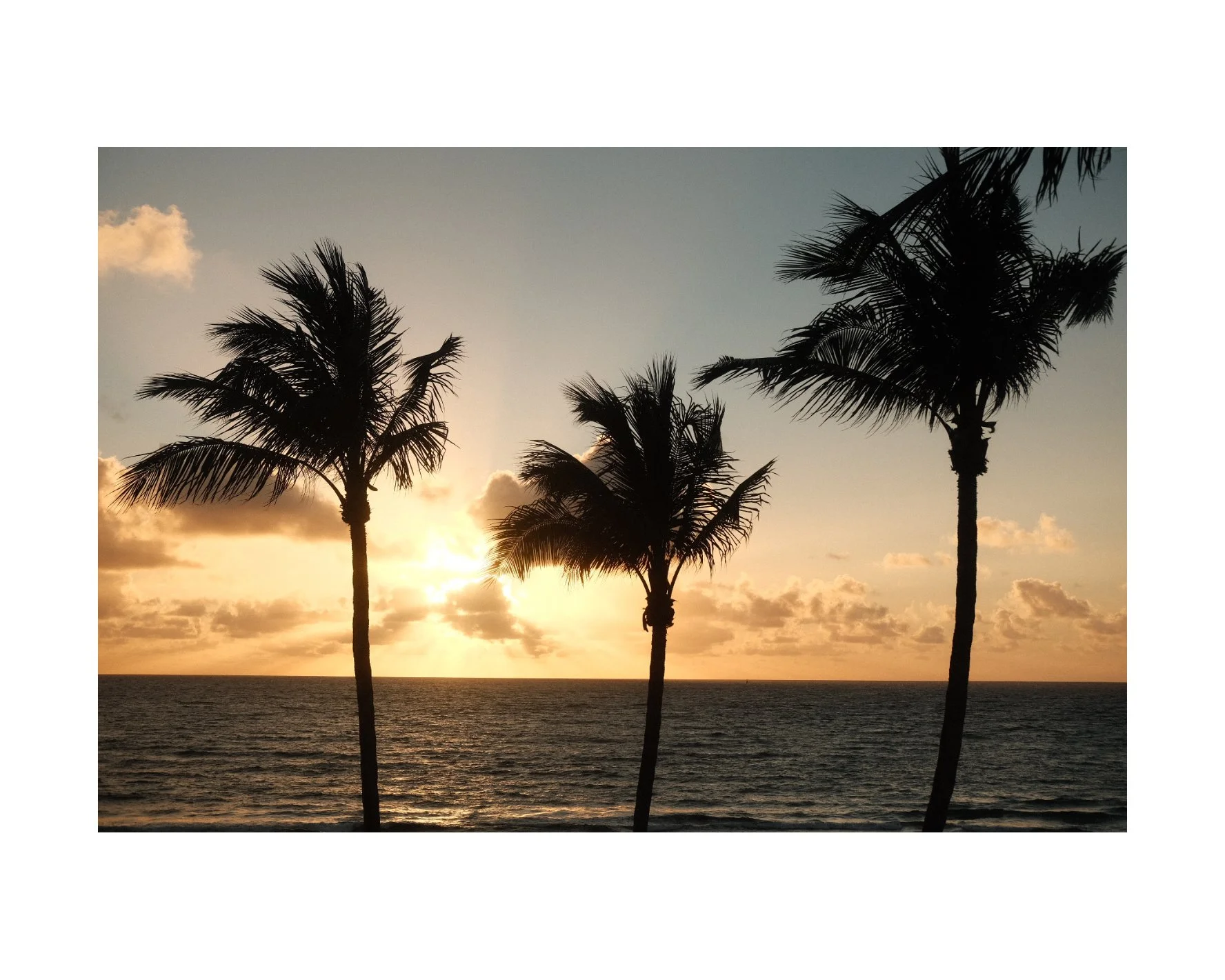 IOED0018 1 Edited.JPG