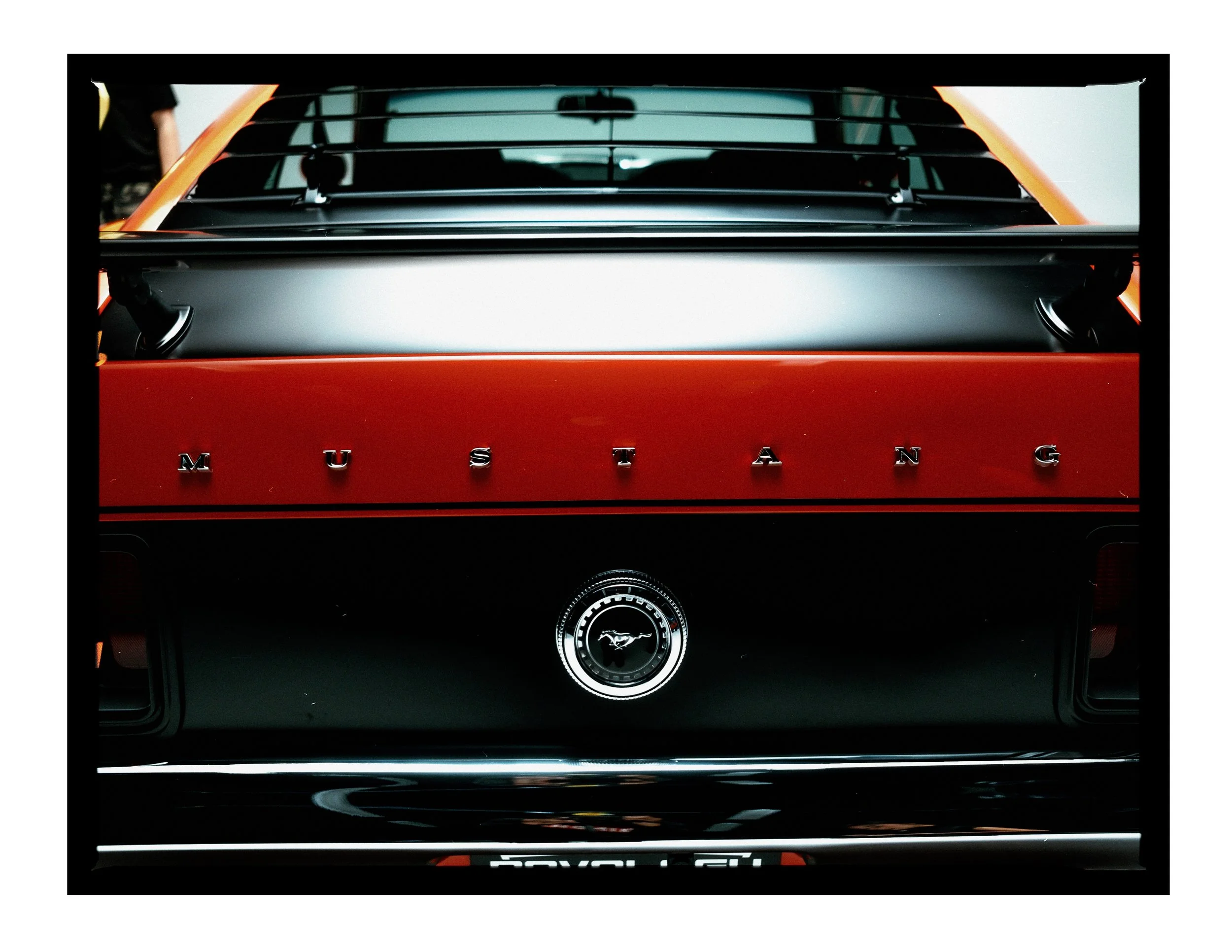 @joeportra | TanVo x Bindra_Revology -54.jpg