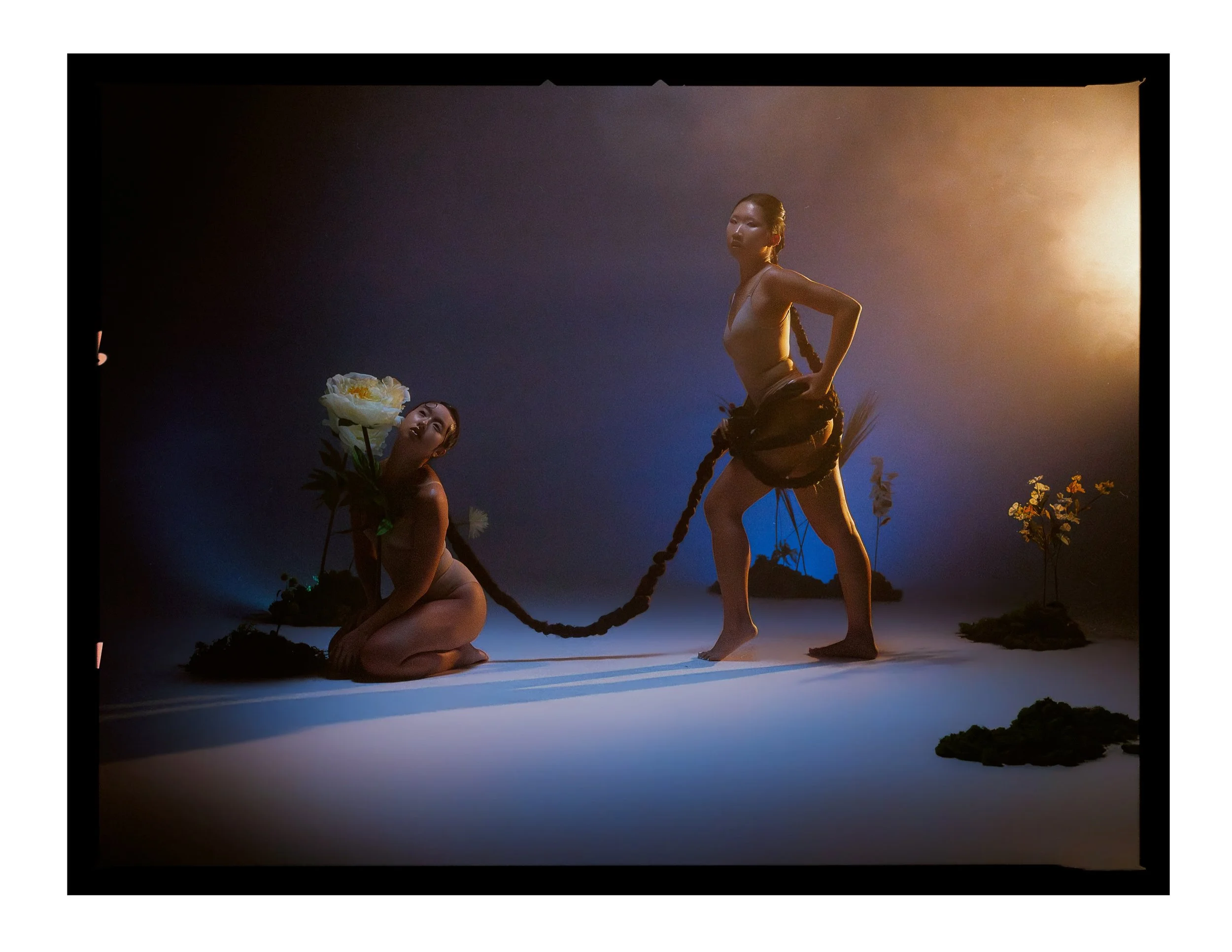 _joeportra _ Twin Creatures - Digital Print-015.jpg