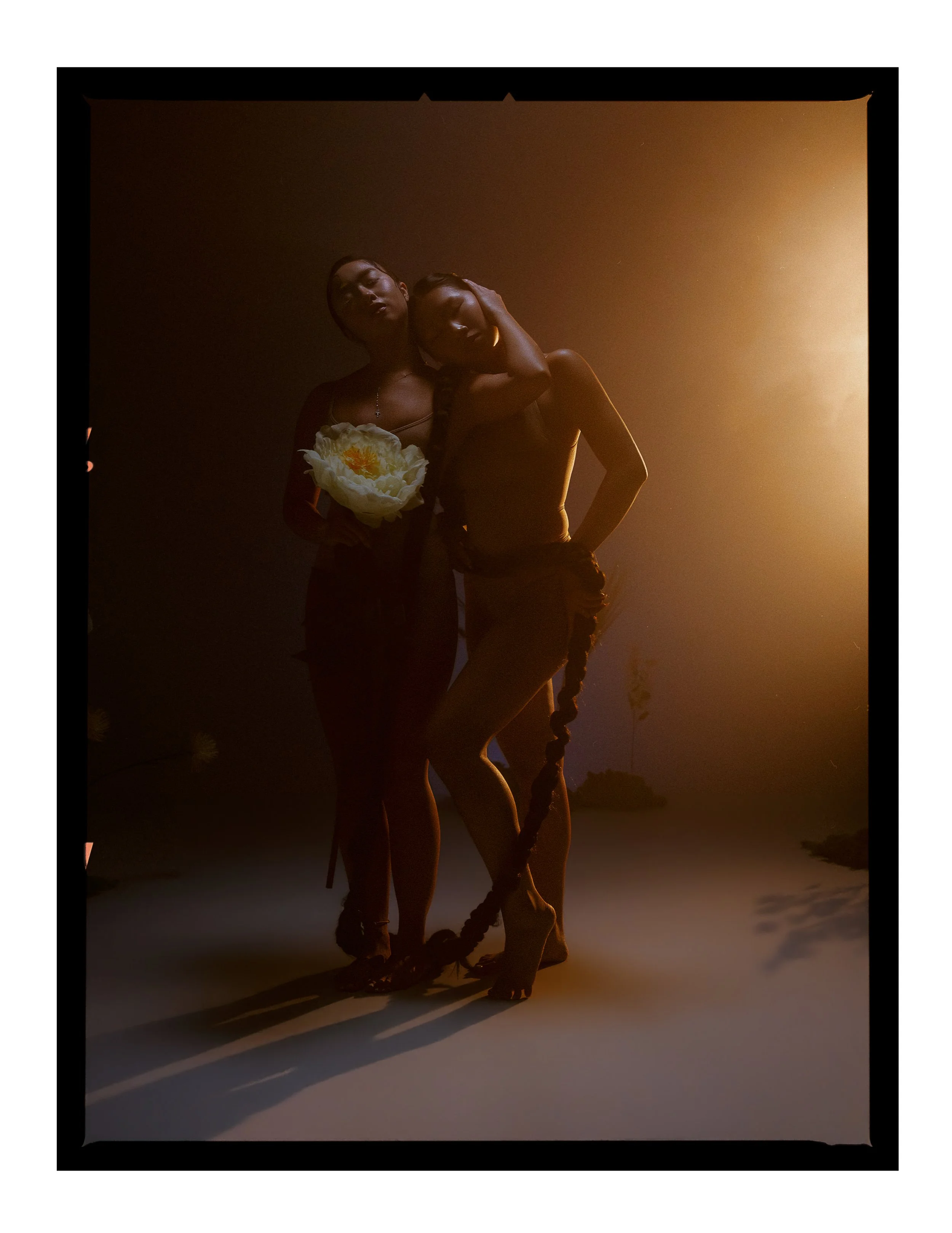 _joeportra _ Twin Creatures - Digital Print-006.jpg