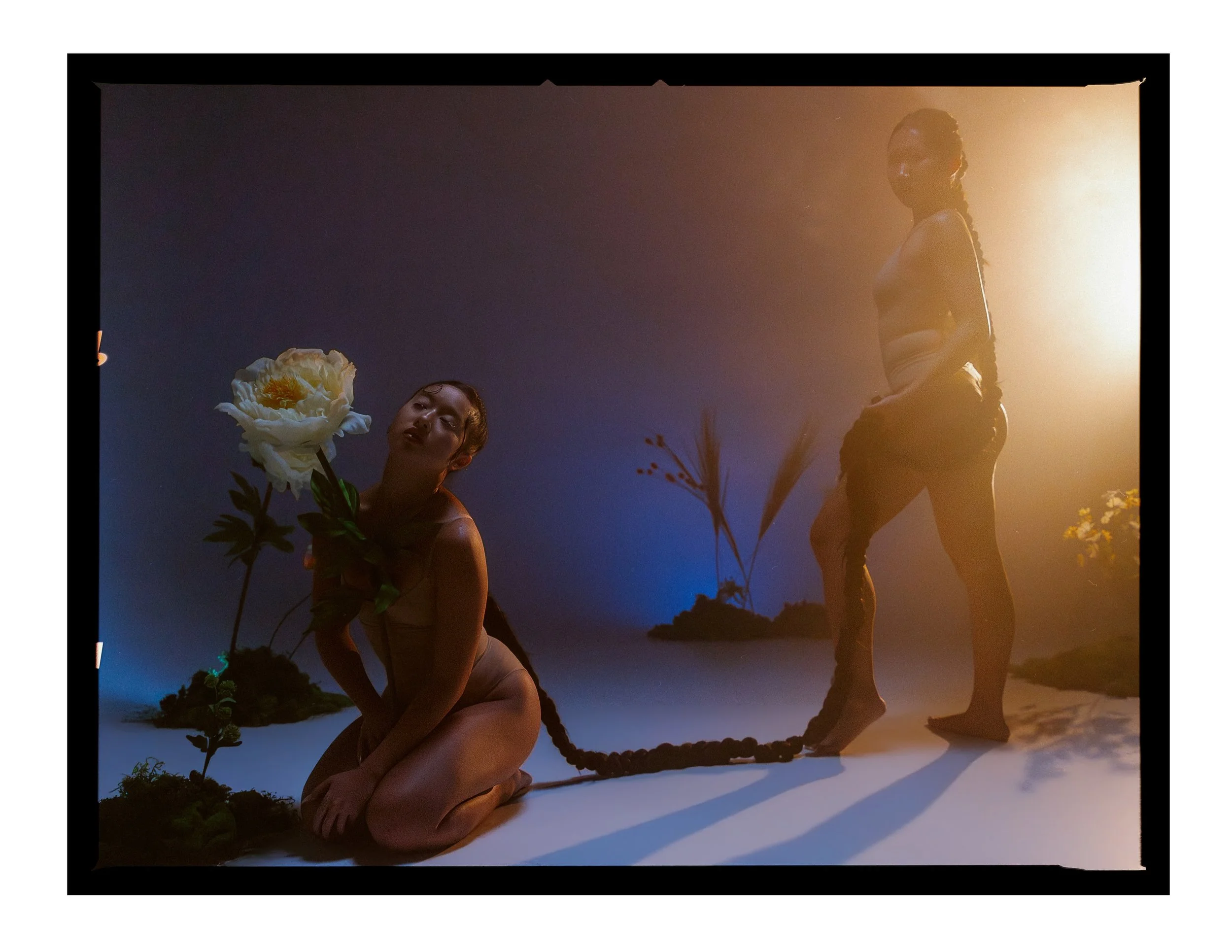 _joeportra _ Twin Creatures - Digital Print-016.jpg