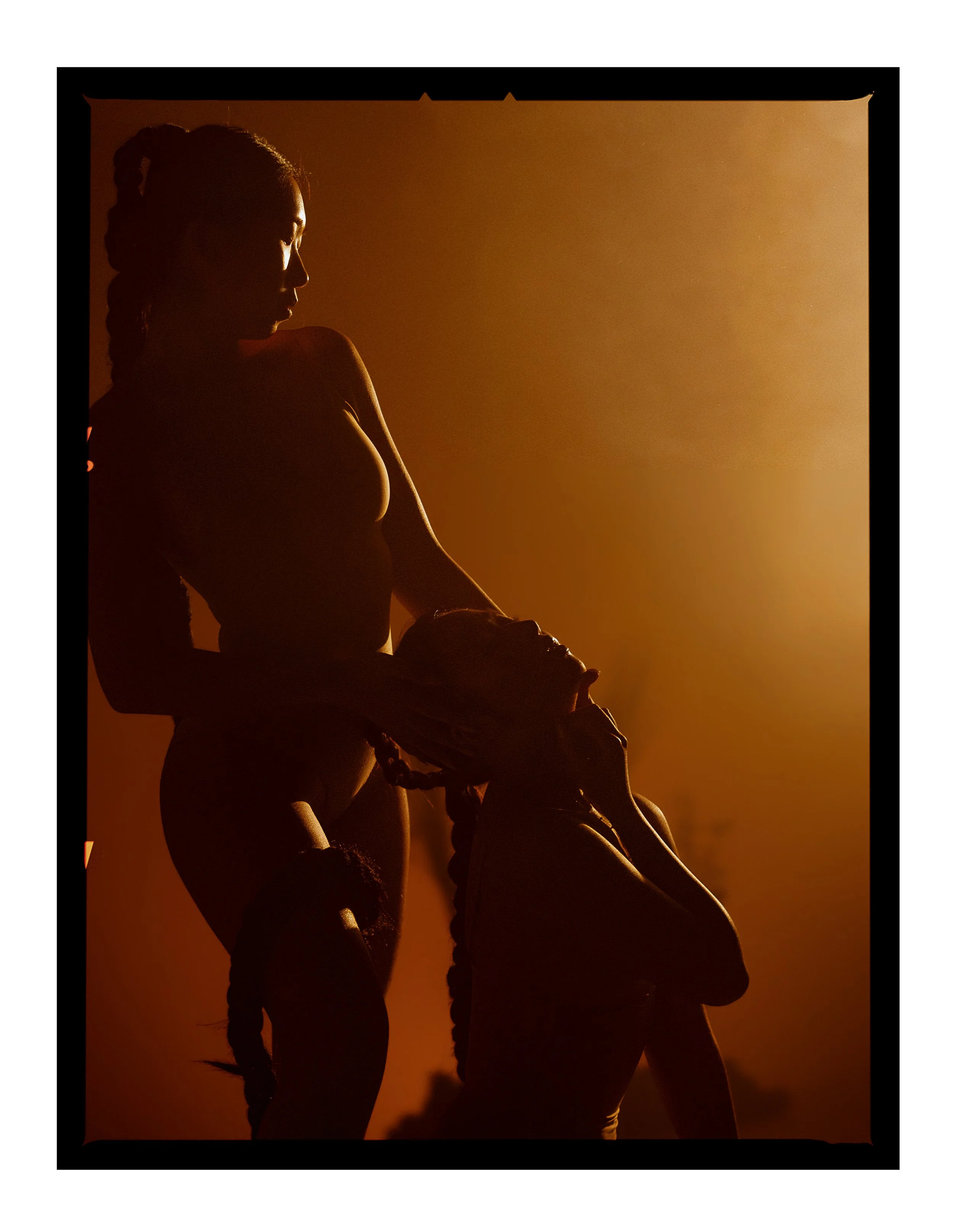 _joeportra _ Twin Creatures - Digital Print-060.jpg