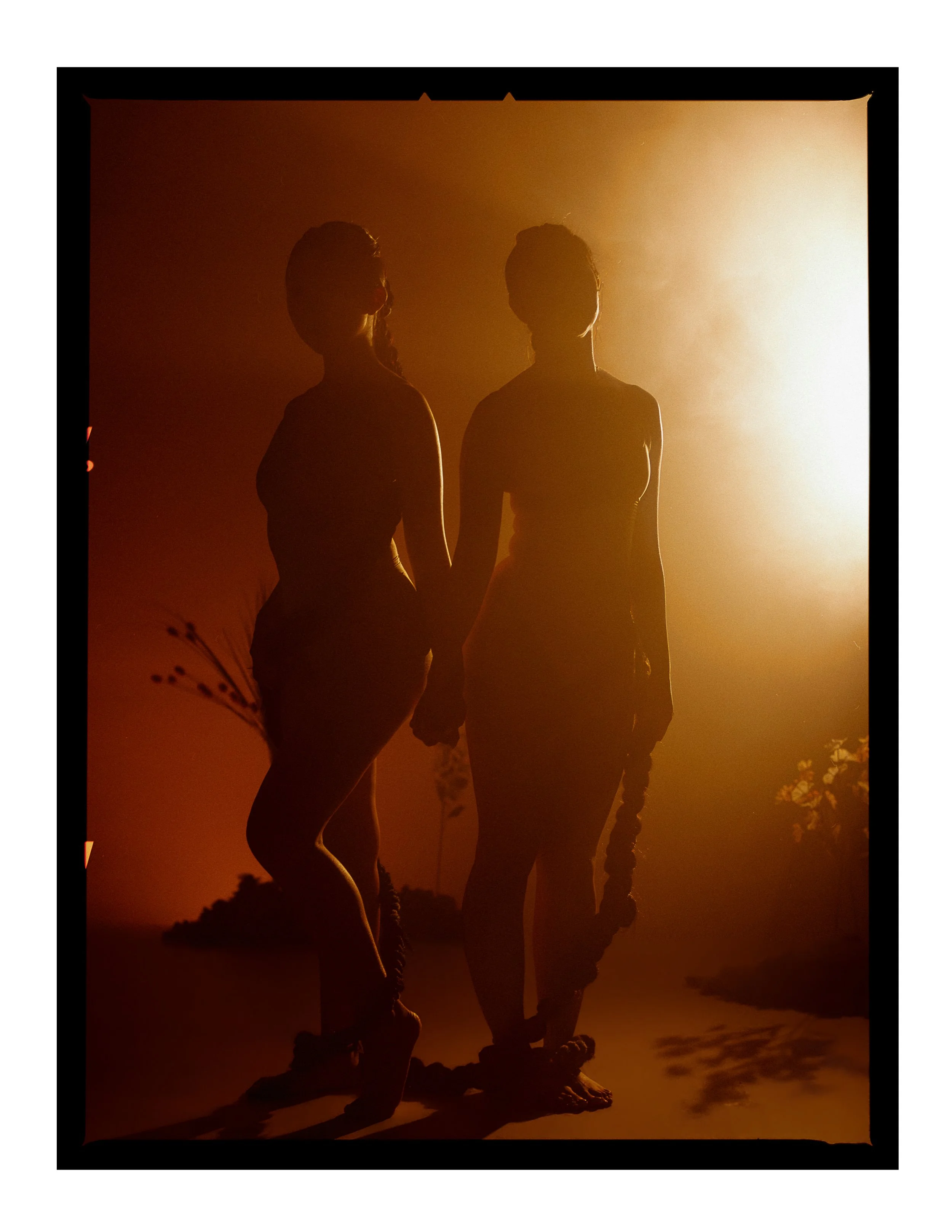 _joeportra _ Twin Creatures - Digital Print-062.jpg
