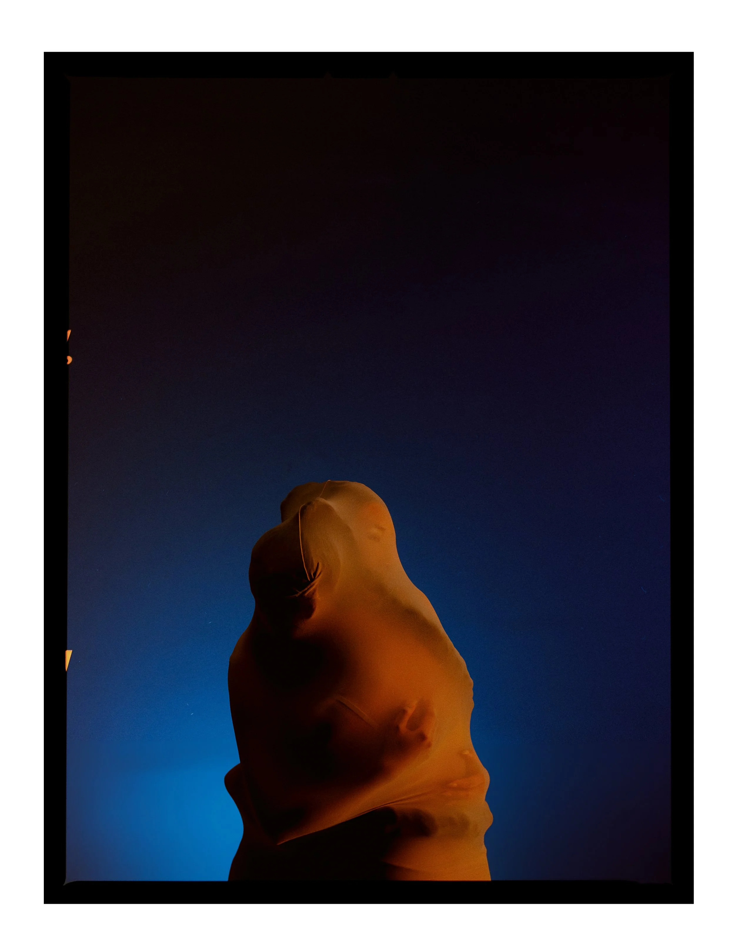 _joeportra _ Twin Creatures - Digital Print-071.jpg