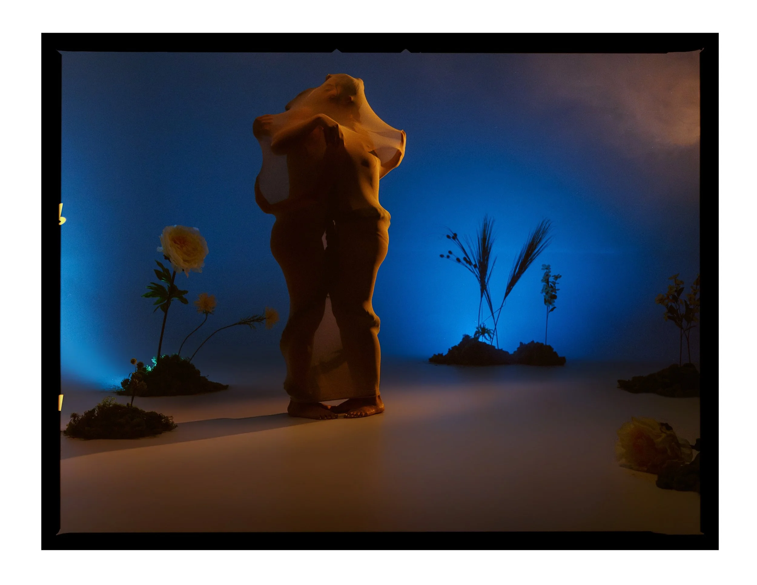_joeportra _ Twin Creatures - Digital Print-080.jpg