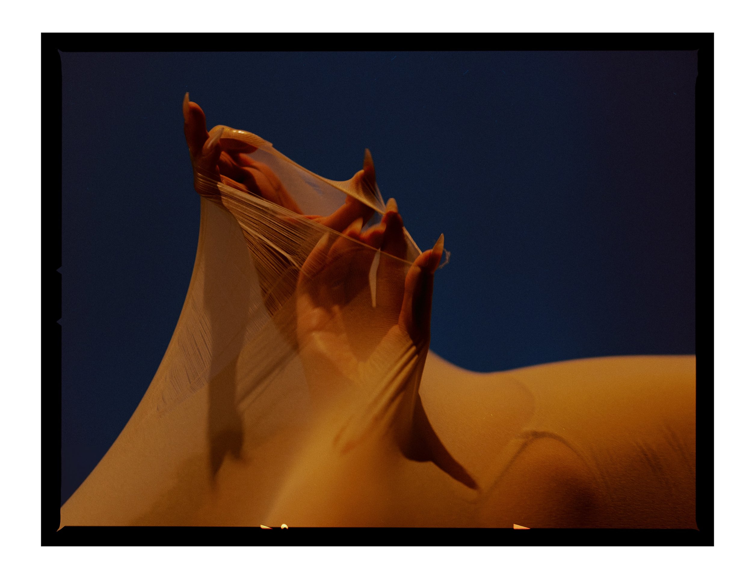 _joeportra _ Twin Creatures - Digital Print-083.jpg