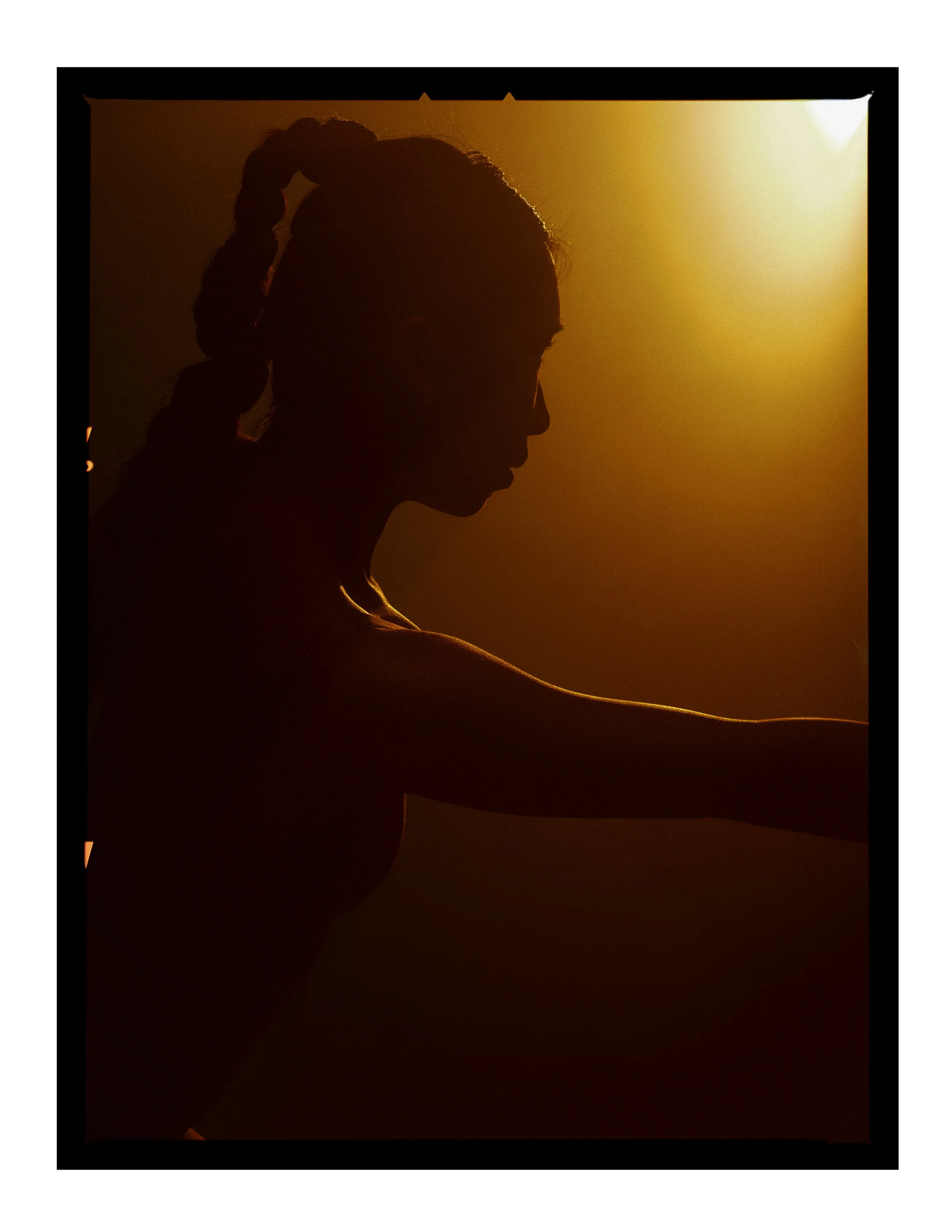 _joeportra _ Twin Creatures - Digital Print-103.jpg