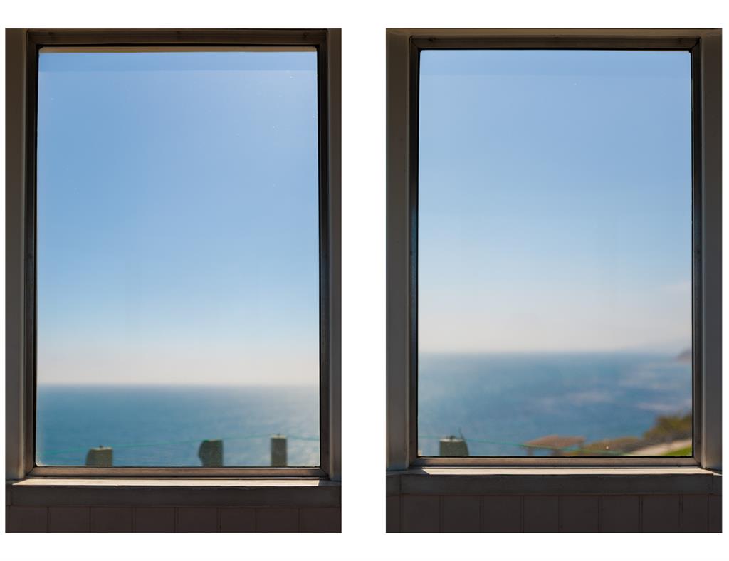 _Thelma and Juanita Diptych.jpg