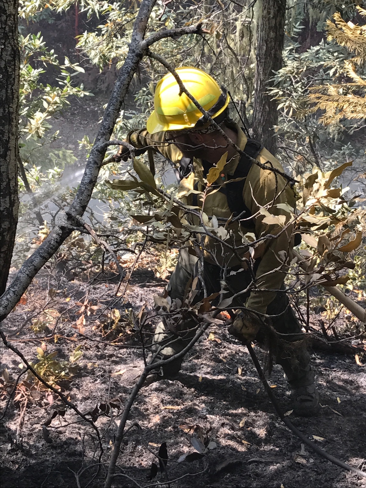 Treasure Valley Fire Wildland Firefighting Services