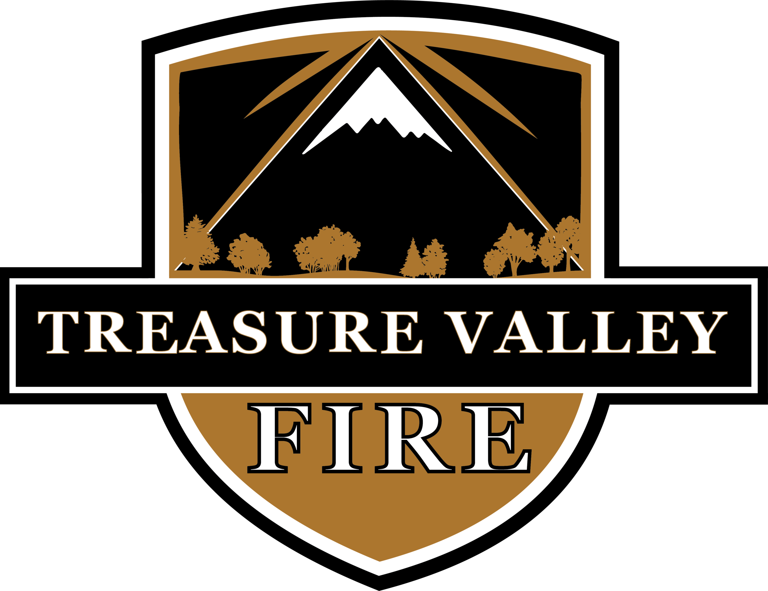 Treasure Valley Fire