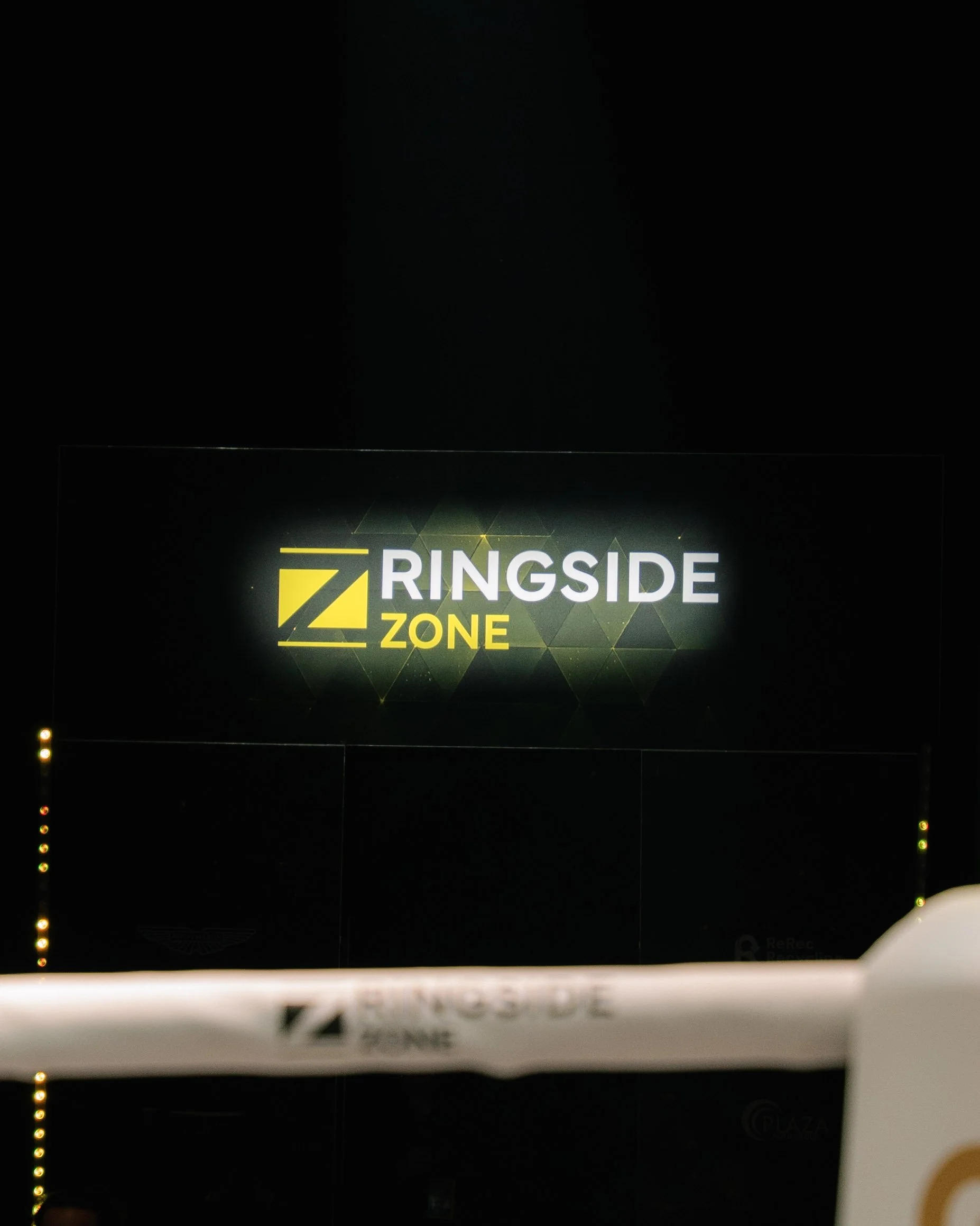 kunst_evelina_arakelyan_art_ringside_zone_0891.JPG