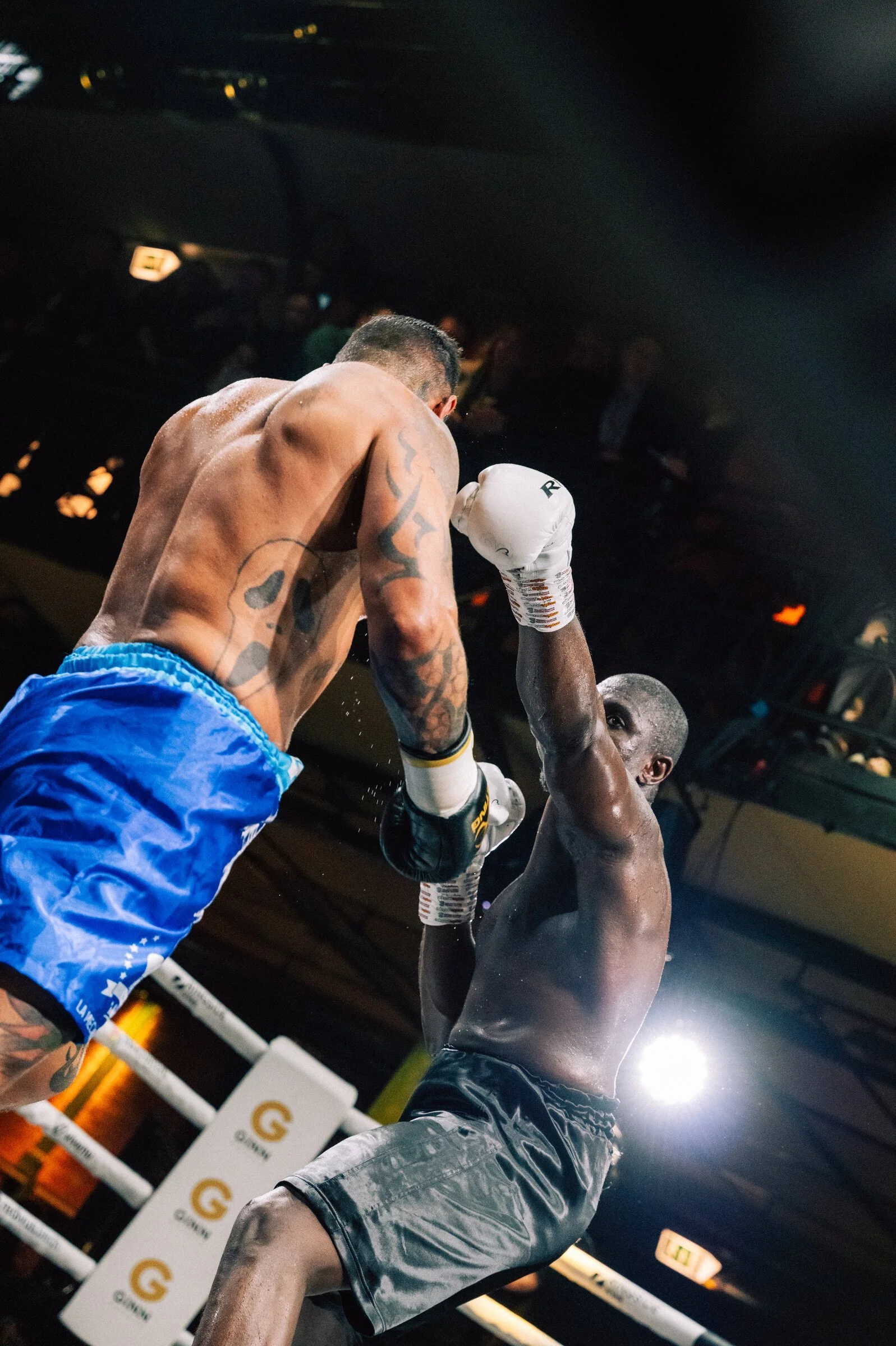 kunst_evelina_arakelyan_art_ringside_zone_0896.JPG