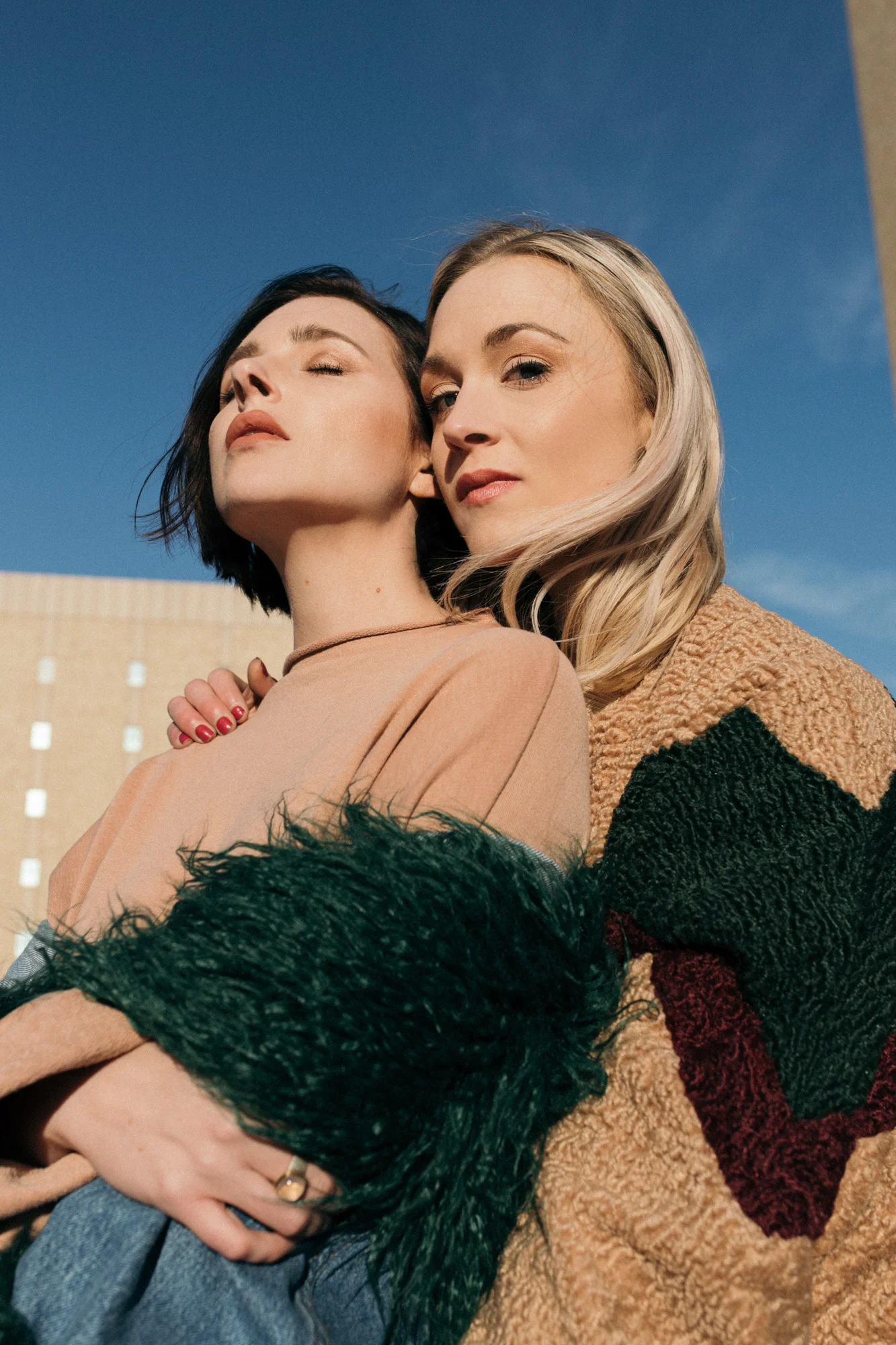 We The Birds Fall Editorial