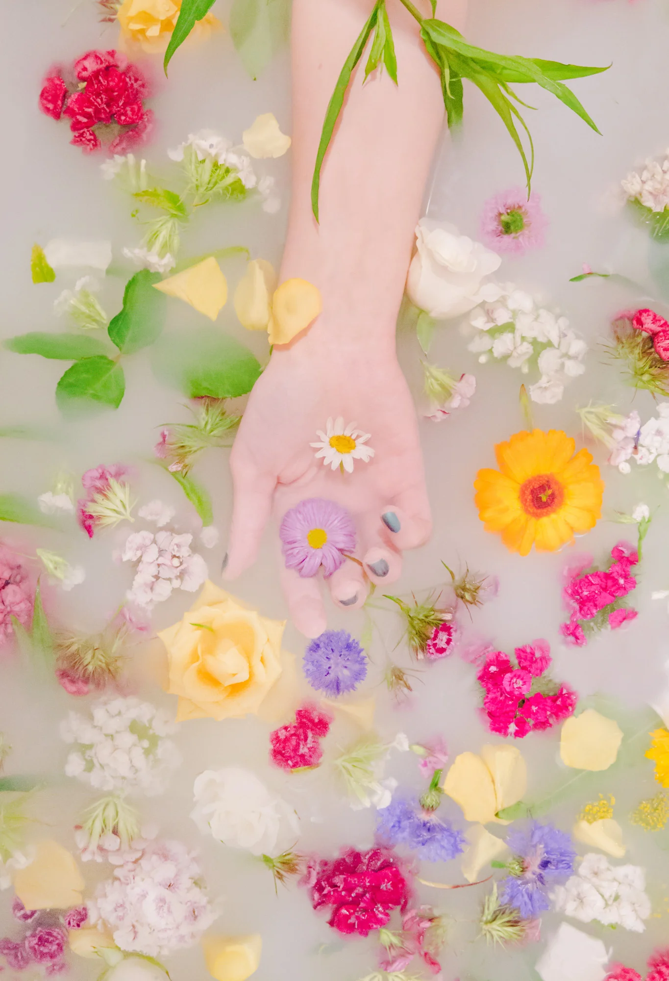 Flower Editorial