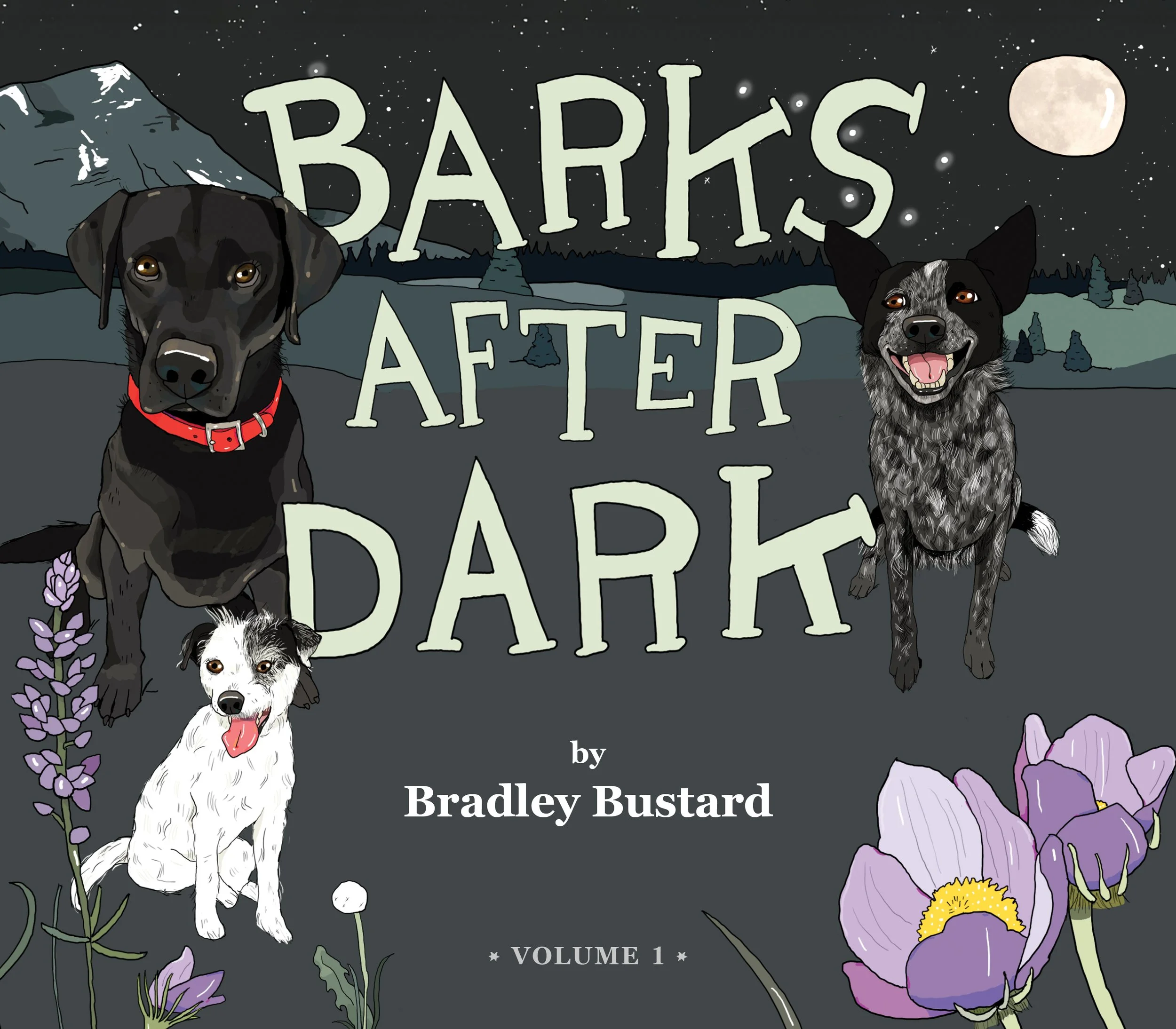 Cover_BarksAtDark.jpg