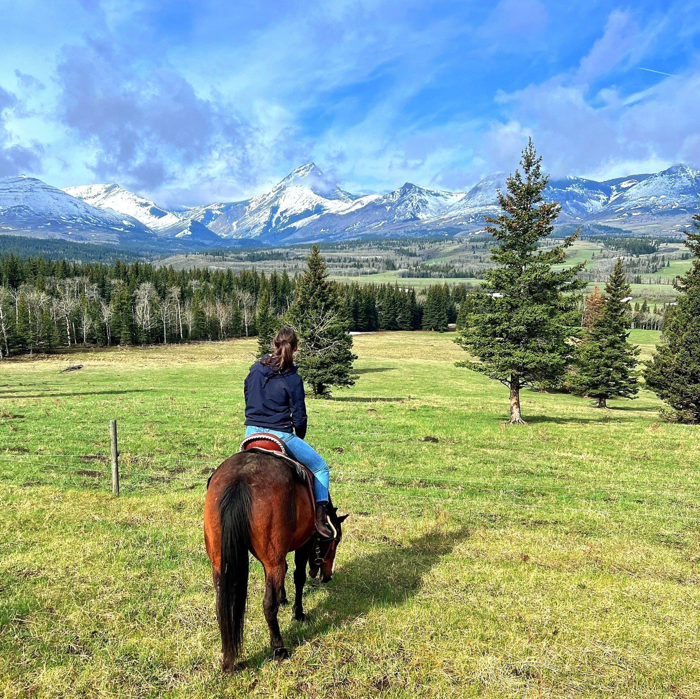 Early spring rides with a view like this are simply breathtaking! ⁠
⁠
#SpringScenes #RockiesViews #HorsebackAdventures #RockyMountainMagic #ScenicRides #SpringSplendor #HorsebackExploration #NatureWonders #MountainViews #EquestrianLife #OutdoorEscape