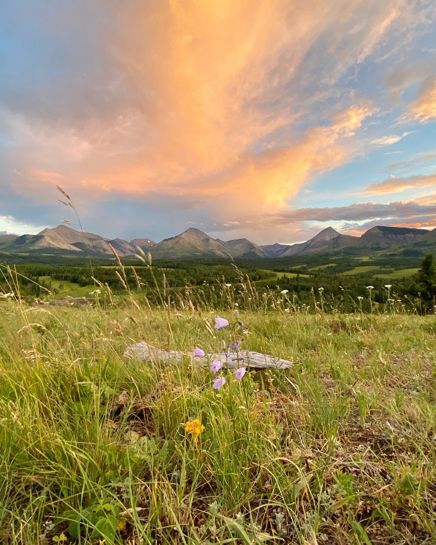 We know... we post a lot of postcard-perfect moments. But when you&rsquo;re surrounded by views like this &ndash; golden hour sunsets, puffy mountain clouds, and quiet that feeds the soul &ndash; can you blame us?

Guests don&rsquo;t just visit Thank