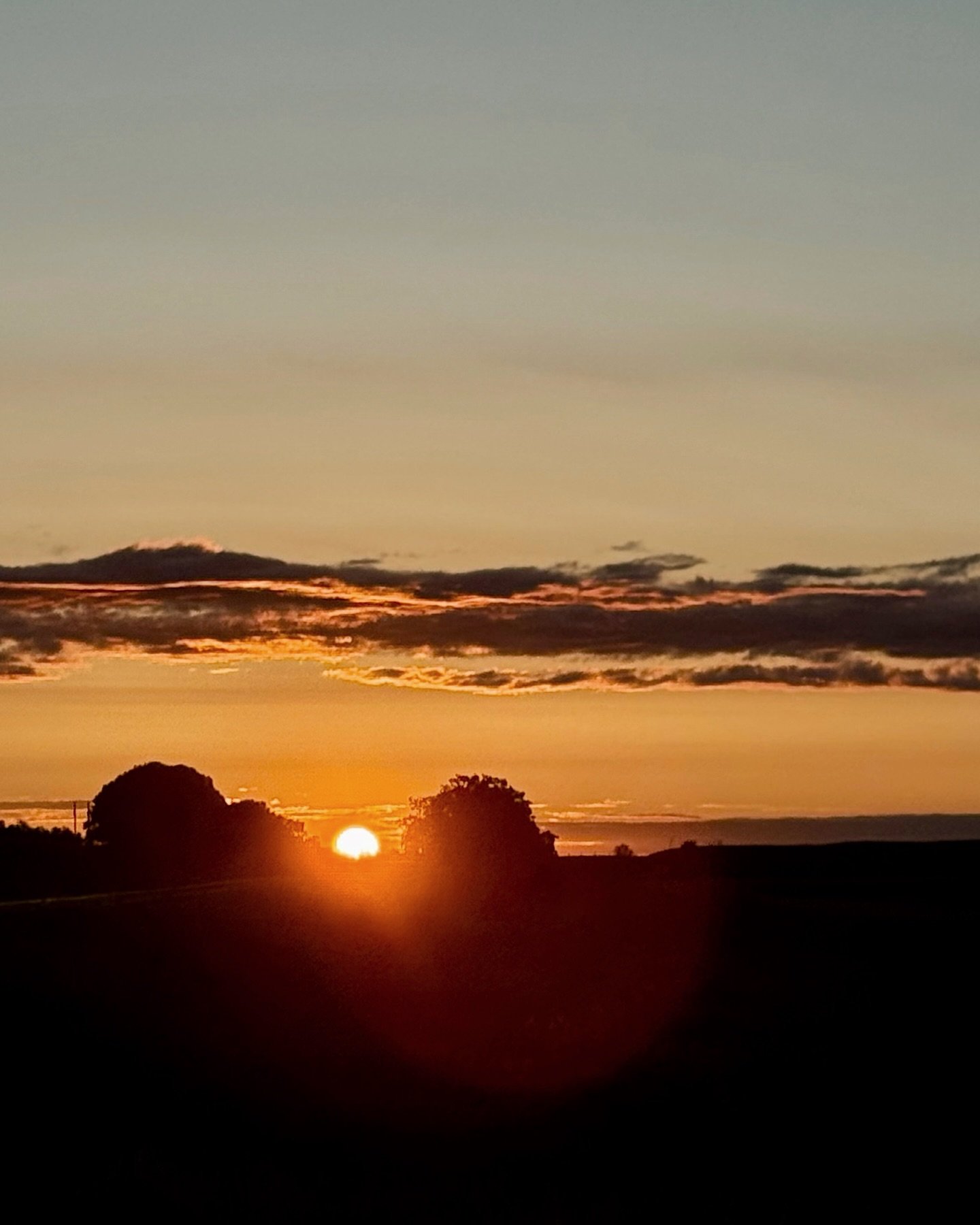 Sunrise start. Long day. Summer&rsquo;s on.

Cattle are out where they belong &mdash; on grass.

Everything rolled smooth. Miles covered, job done.
Season&rsquo;s underway.

#AlbertaRanch #CattleGrazing #RanchLife #SummerStart #CattleLiner #WorkingRa