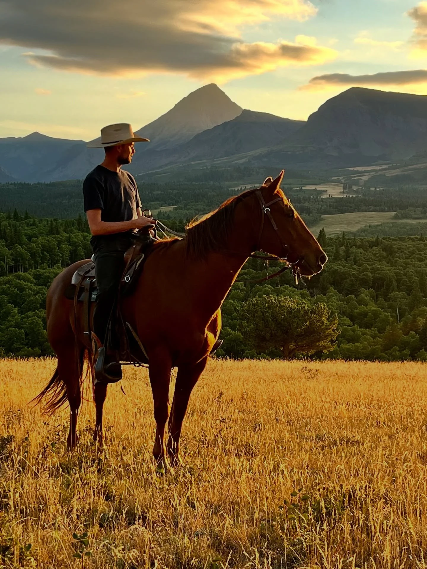 &ldquo;The scenery, the solitude, and the silence... it changed me in ways I can&rsquo;t explain.&rdquo;

We were deeply moved by this message left in our guest book by David from Winnipeg:

&ldquo;To Brad and everyone at Thanksgiving Ranch &mdash; t