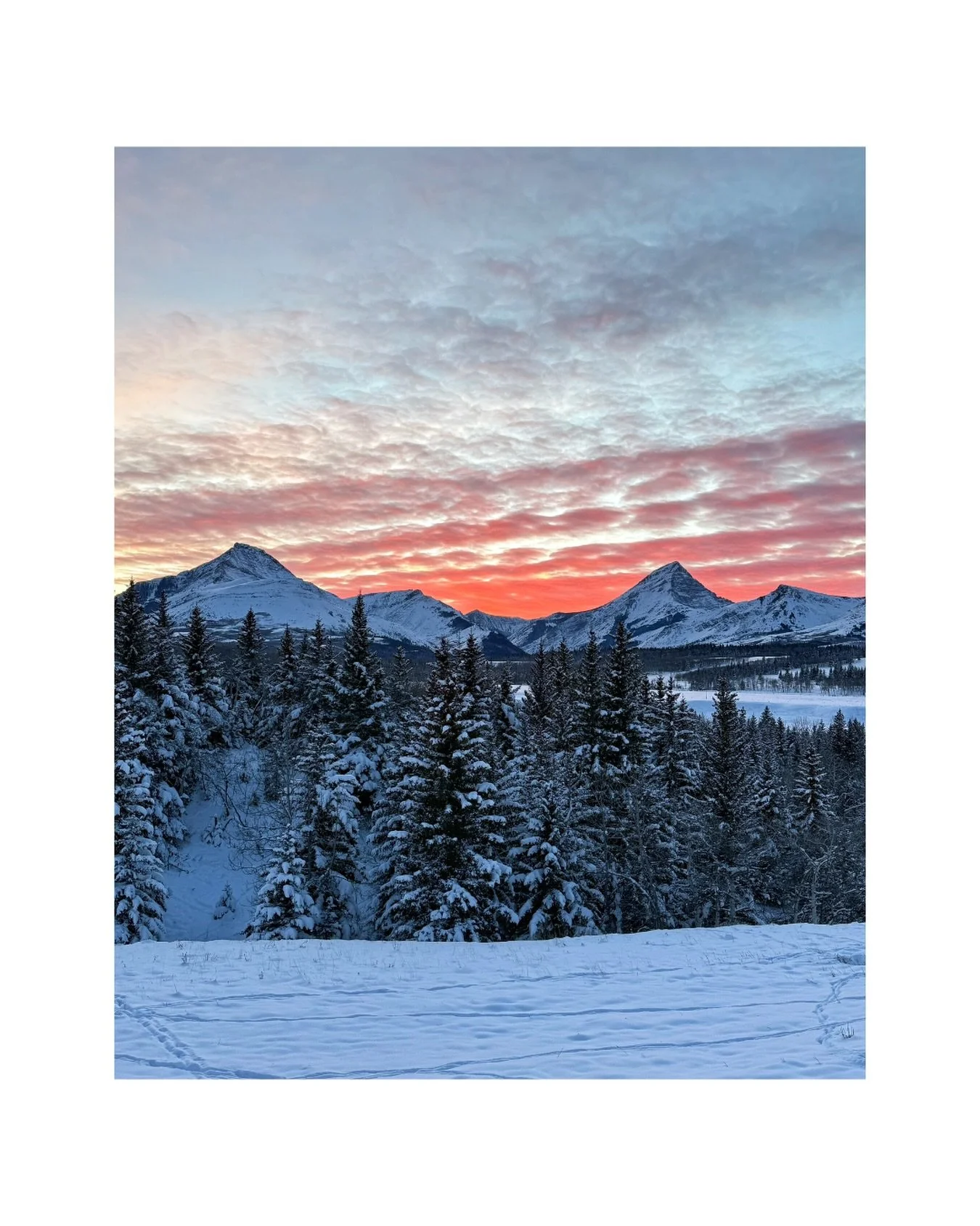 Yesterday gave us some truly amazing skies&mdash;bright bluebird morning, dramatic afternoon clouds, and a sunset that felt like it was painted just for us. 🌅 

Every single photo in this post was captured yesterday, not over weeks. Nature really sh