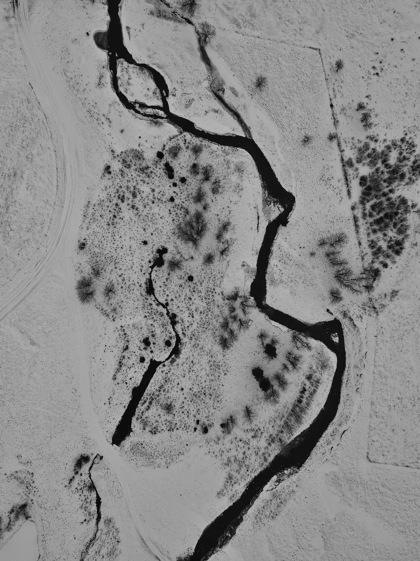 A different side of Thanksgiving Ranch.

Snow-covered fields, a black ribbon of creek, and the kind of quiet you only get in Alberta.

A white Christmas isn&rsquo;t guaranteed here&mdash;but it just might be on its way.

#ThanksgivingRanch
#AlbertaRa